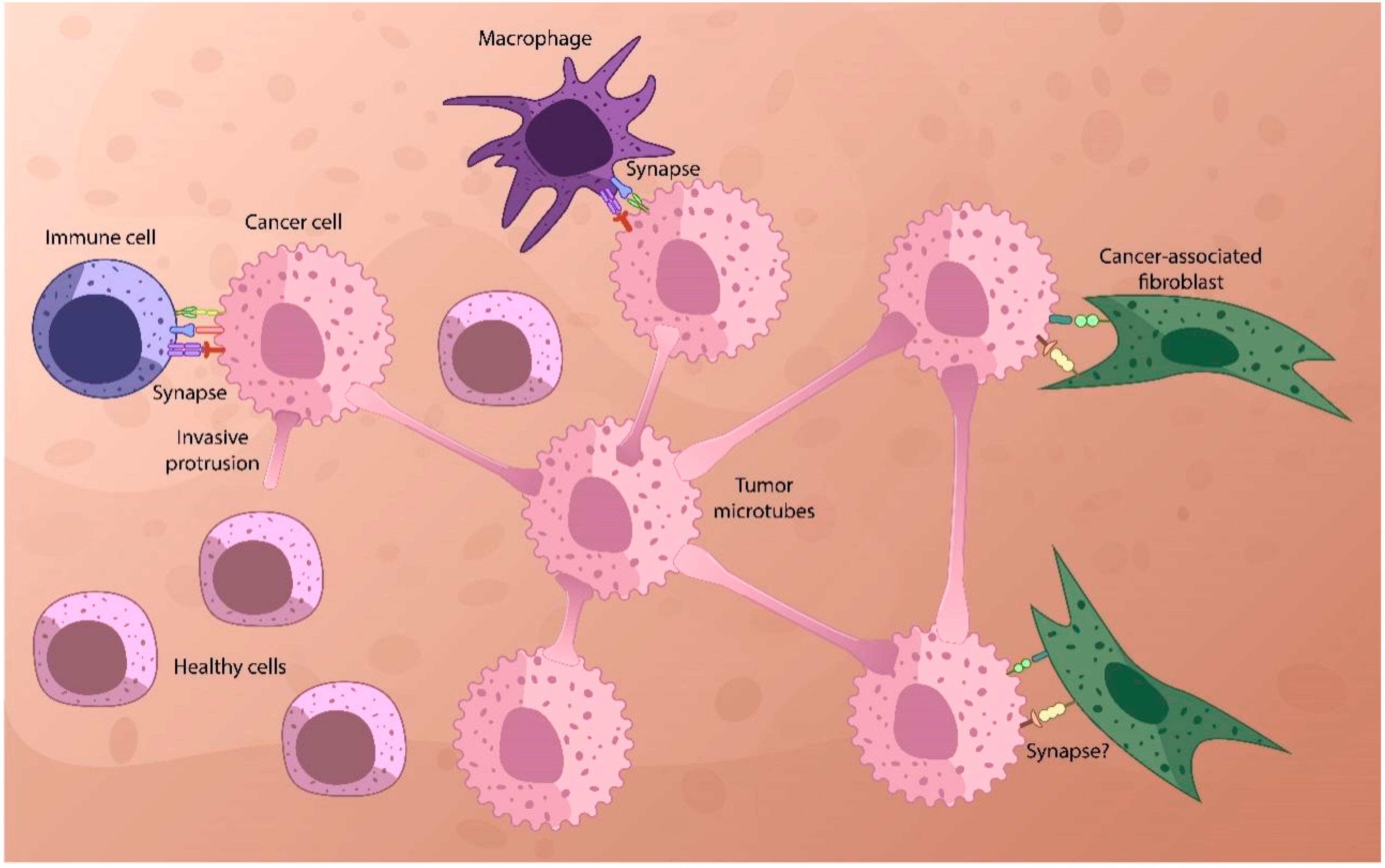 Ijms 25 10454 g001 Ijms 25 10454 g001