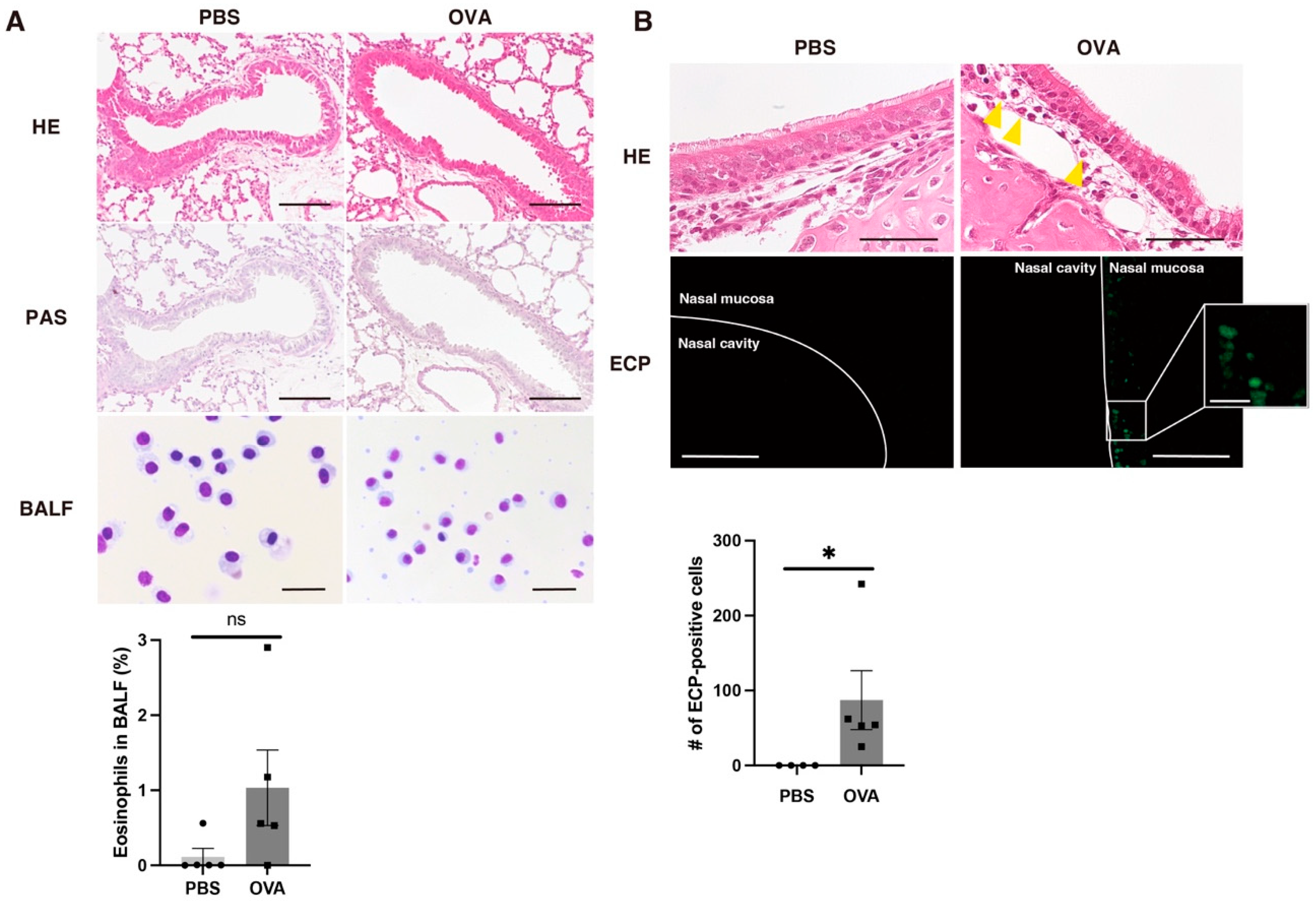 Ijms 25 10464 g002 Ijms 25 10464 g002