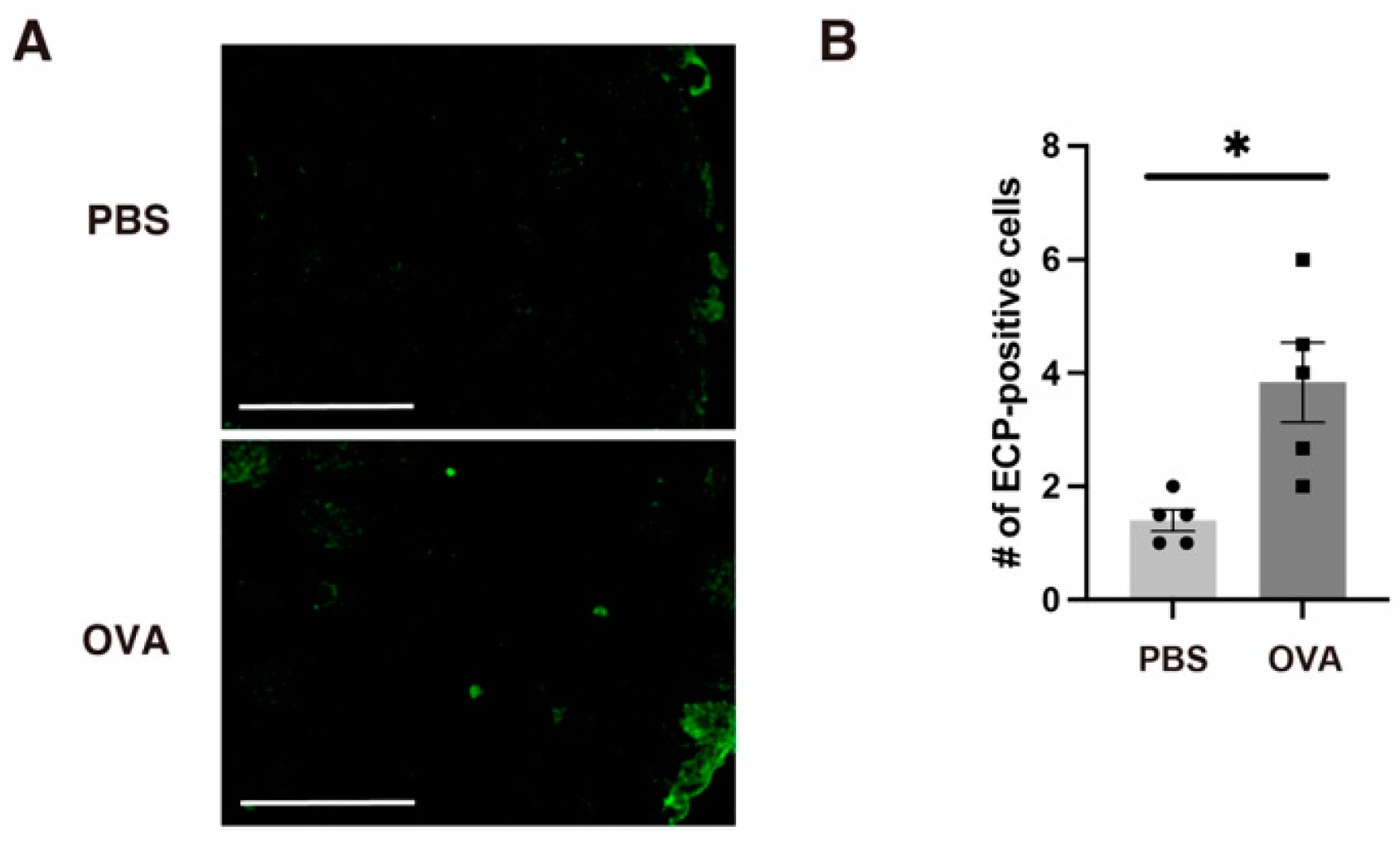 Ijms 25 10464 g005 Ijms 25 10464 g005