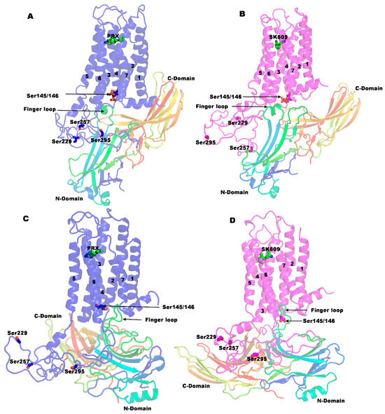 Biased Signaling Agonists Promote Distinct Phosphorylation and