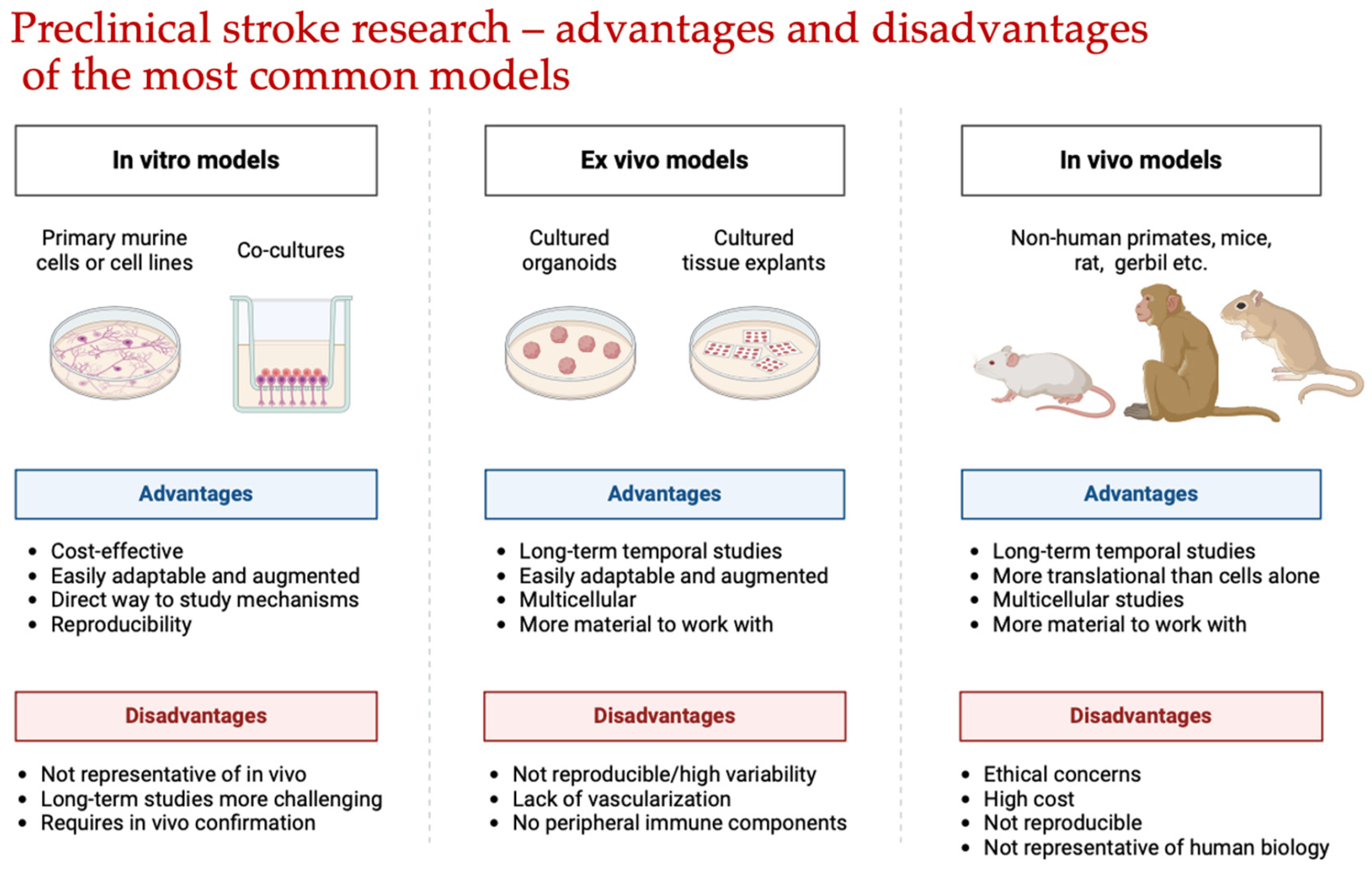 Ijms 25 10475 g001 Ijms 25 10475 g001
