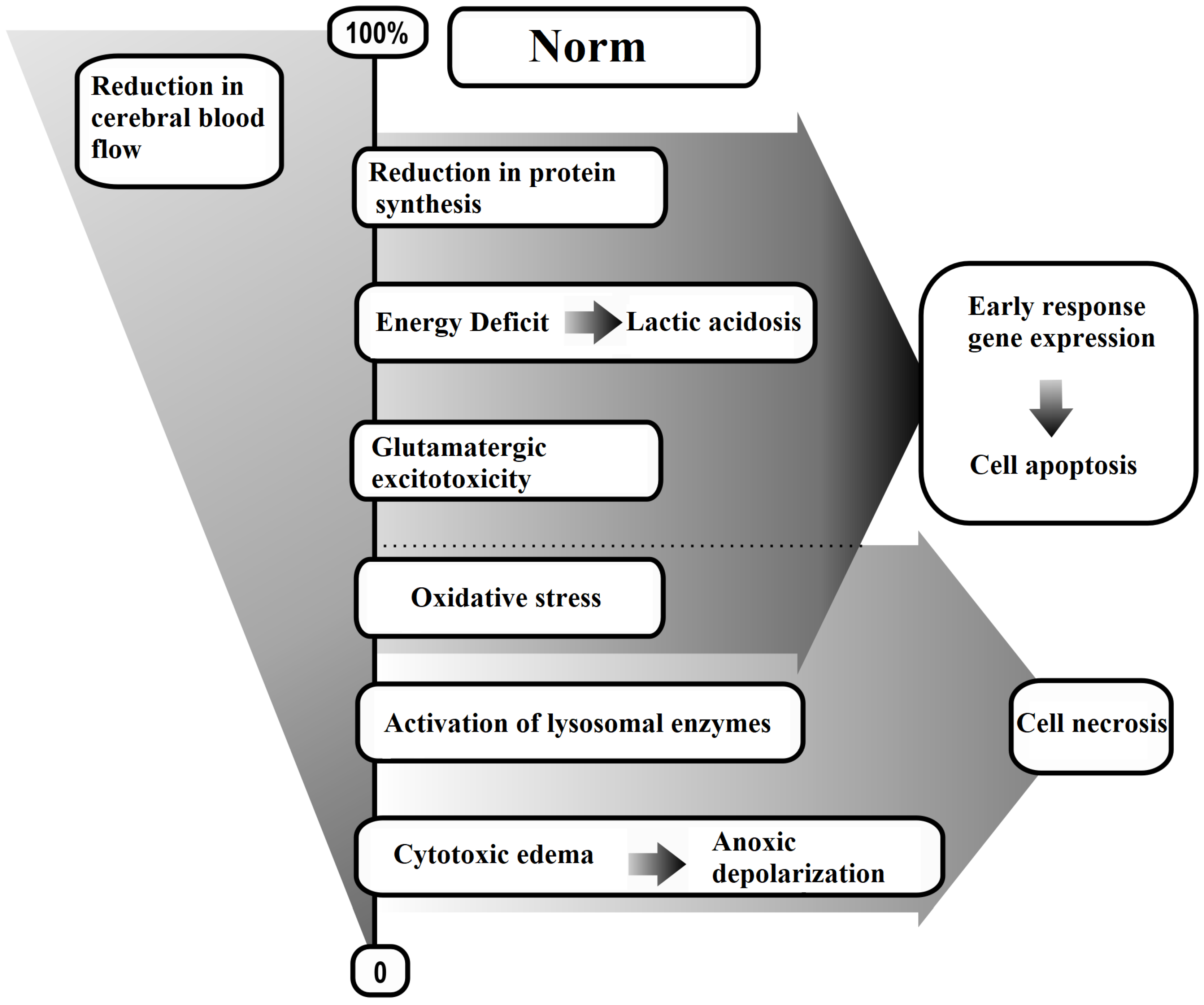 Ijms 25 10475 sch002 Ijms 25 10475 sch002