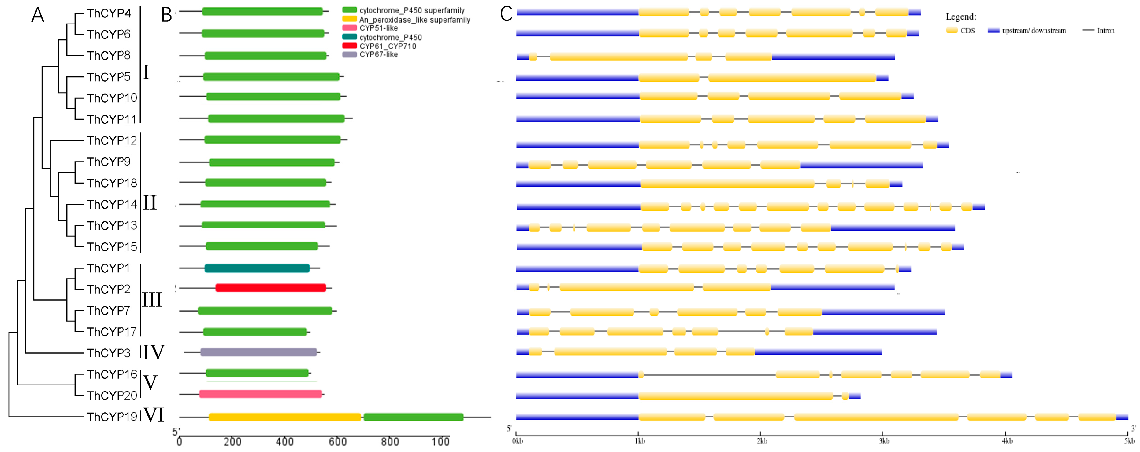 Ijms 25 10478 g001 Ijms 25 10478 g001
