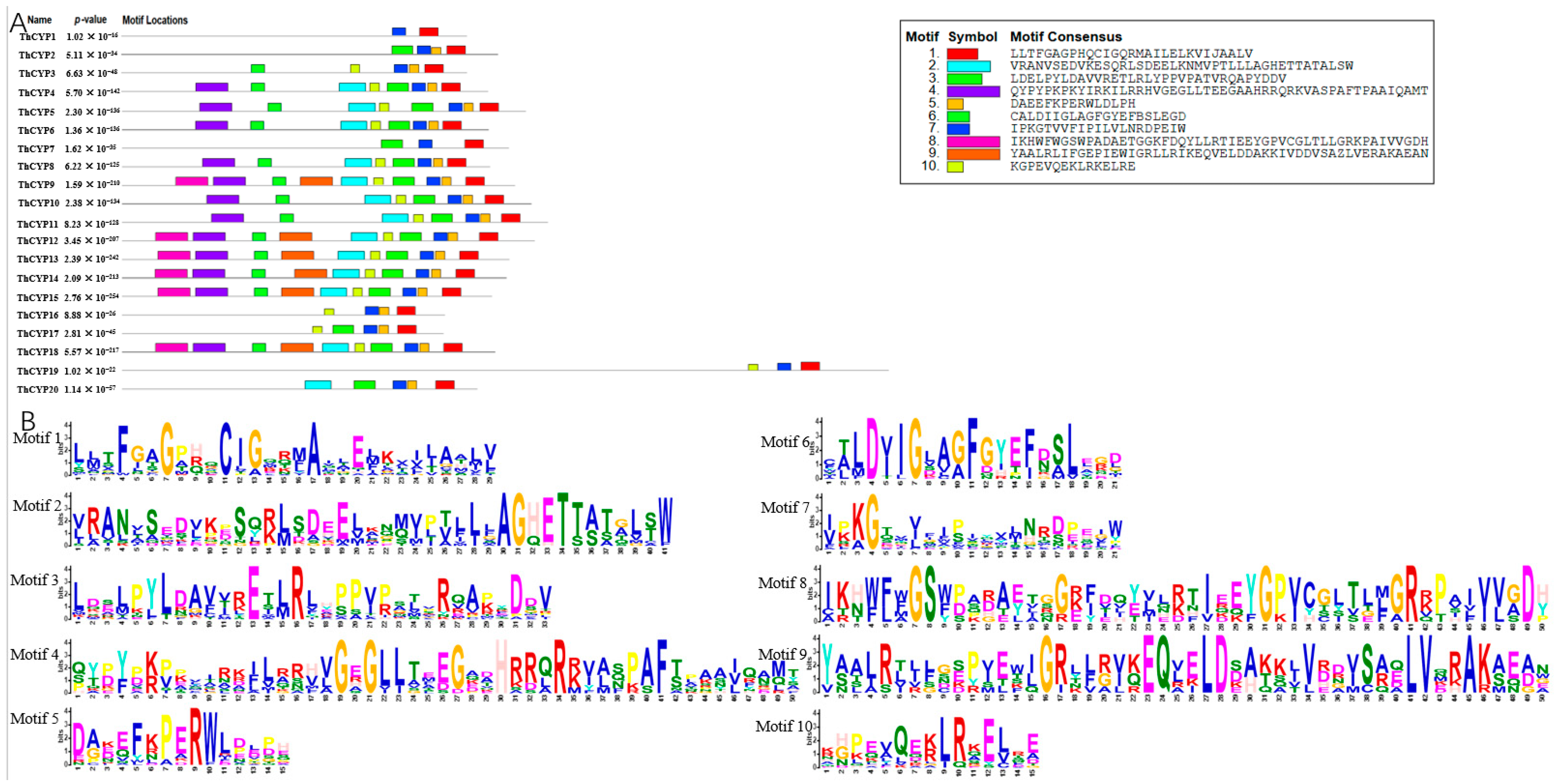 Ijms 25 10478 g002 Ijms 25 10478 g002
