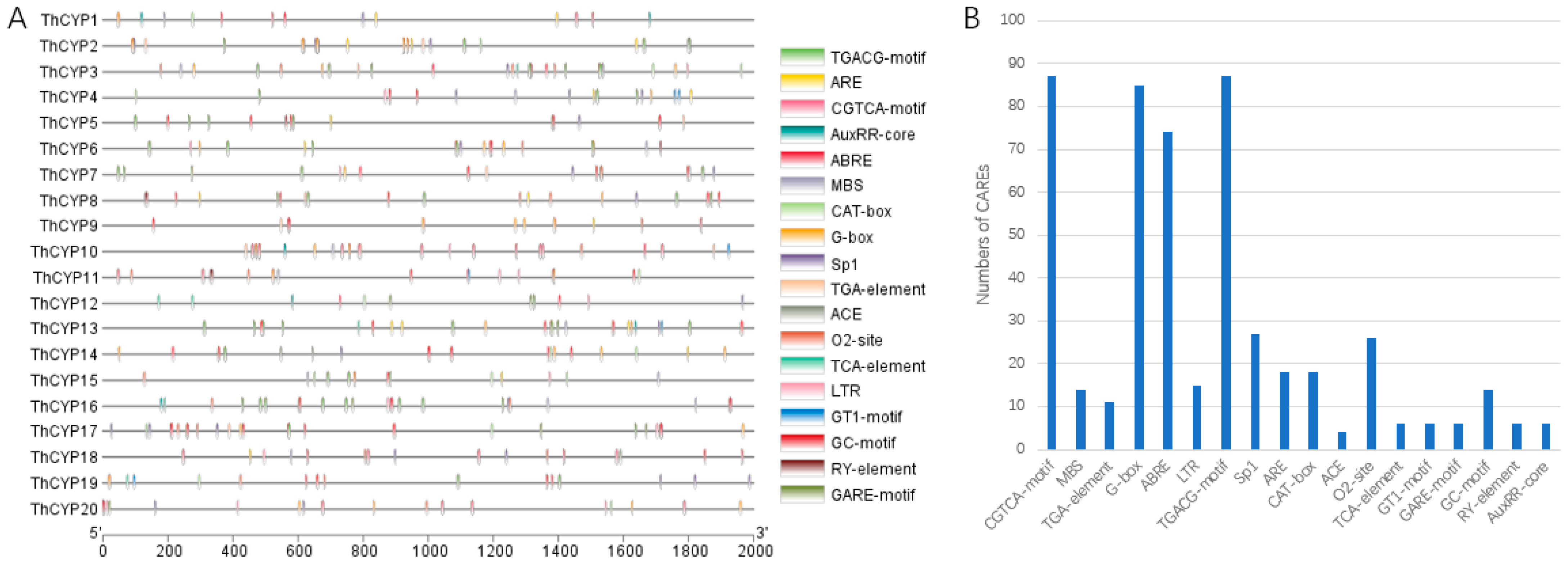 Ijms 25 10478 g003 Ijms 25 10478 g003