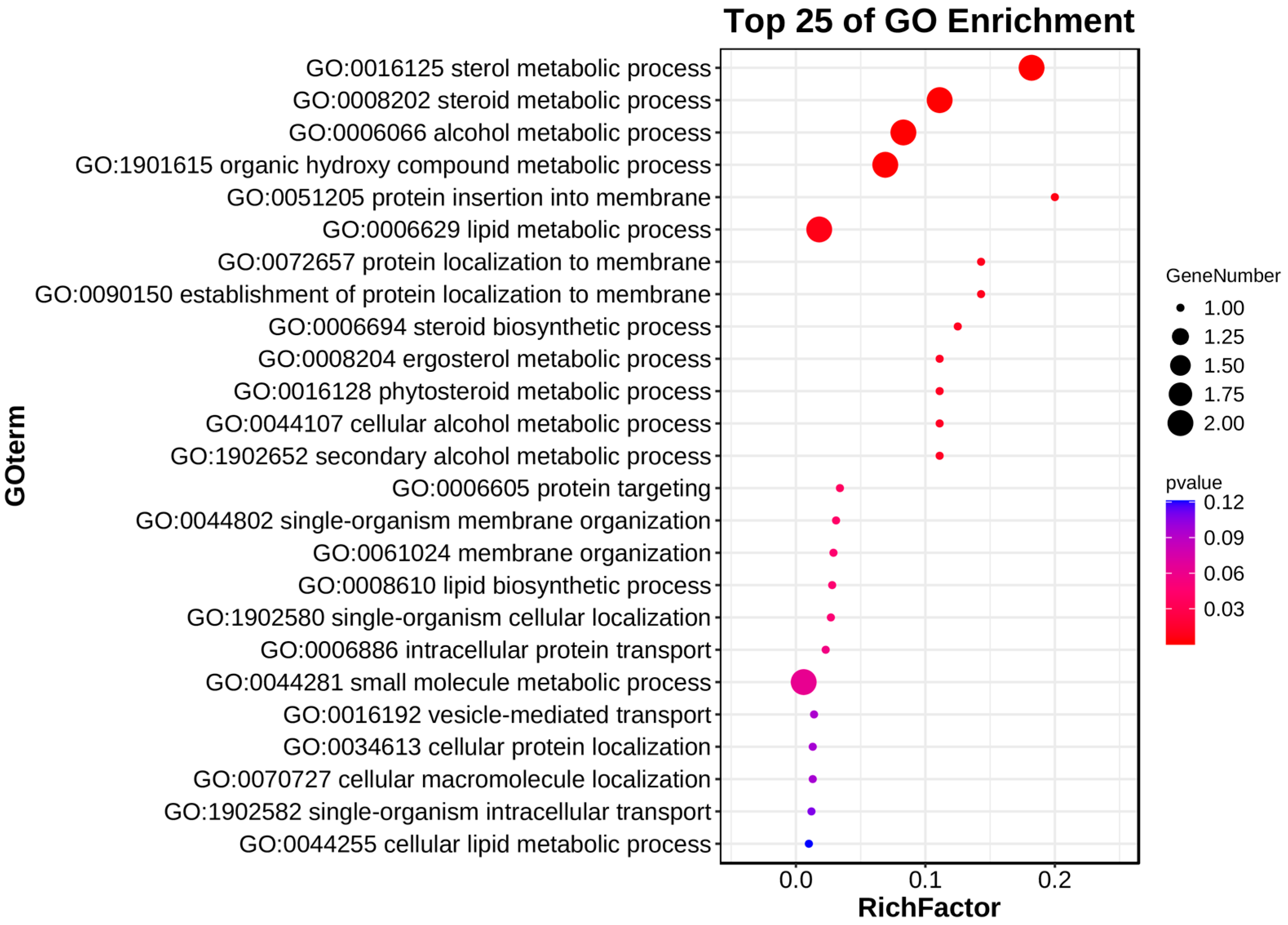 Ijms 25 10478 g004 Ijms 25 10478 g004