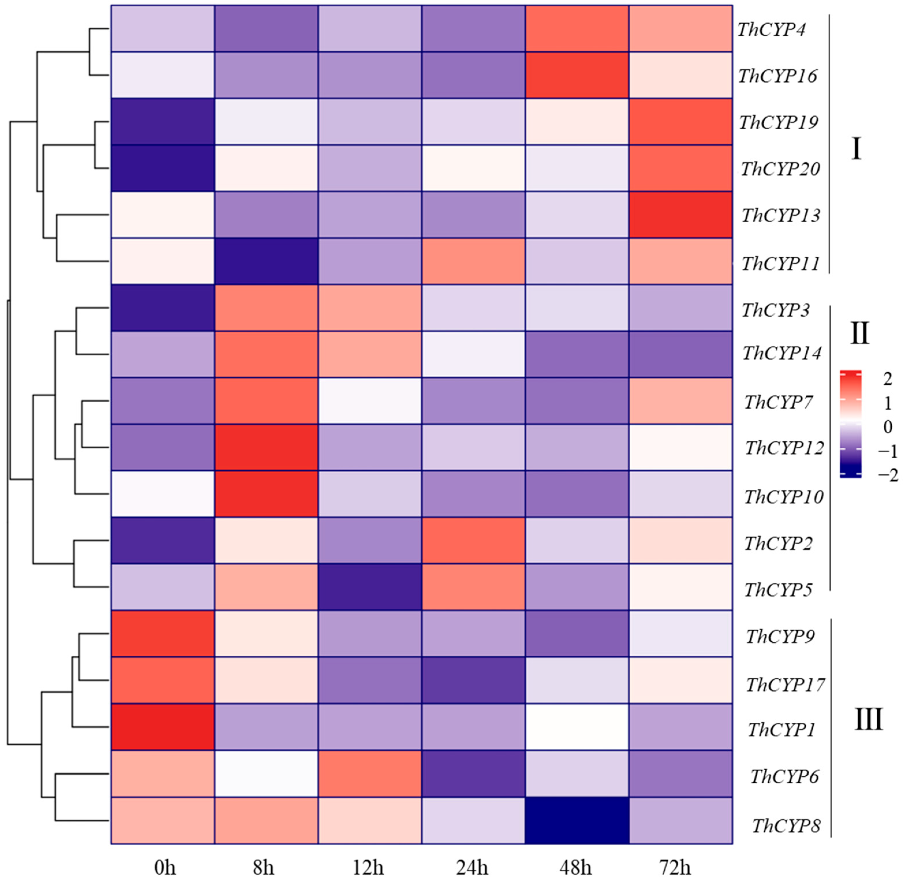 Ijms 25 10478 g005 Ijms 25 10478 g005