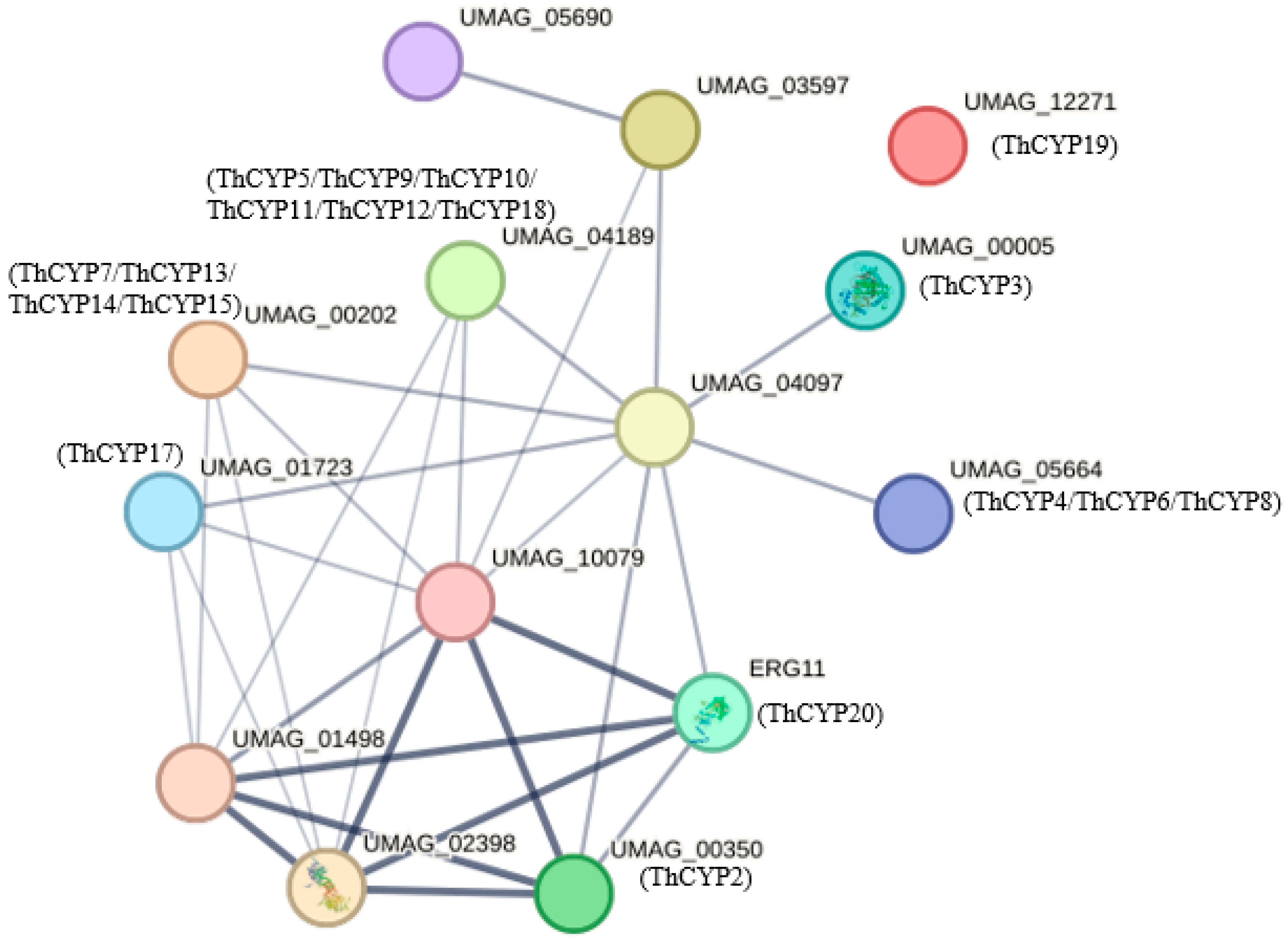 Ijms 25 10478 g007 Ijms 25 10478 g007