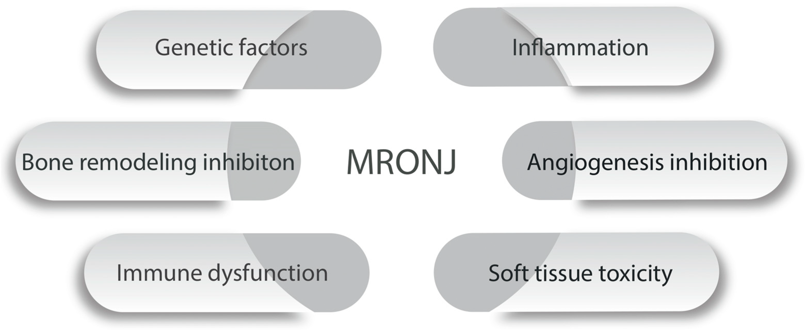 Ijms 25 10488 g001 Ijms 25 10488 g001