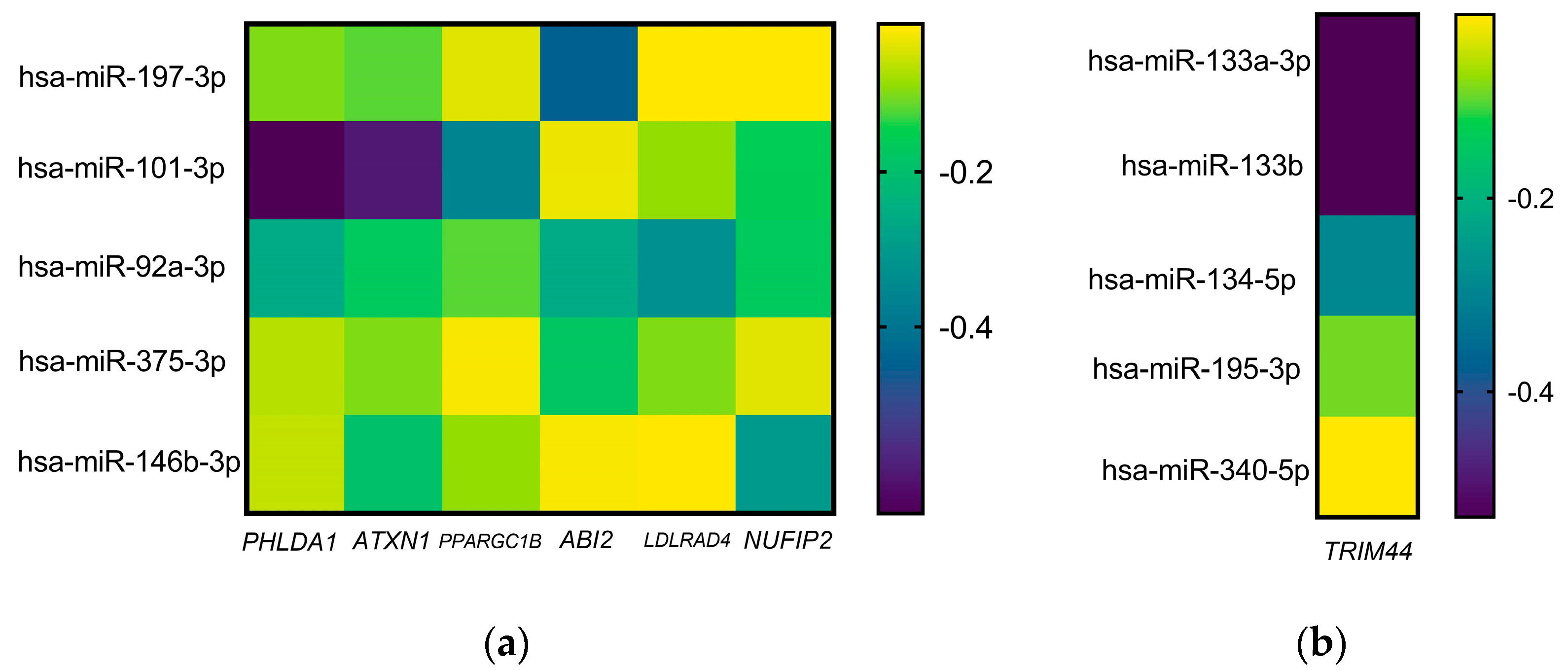 Ijms 25 10491 g002 Ijms 25 10491 g002