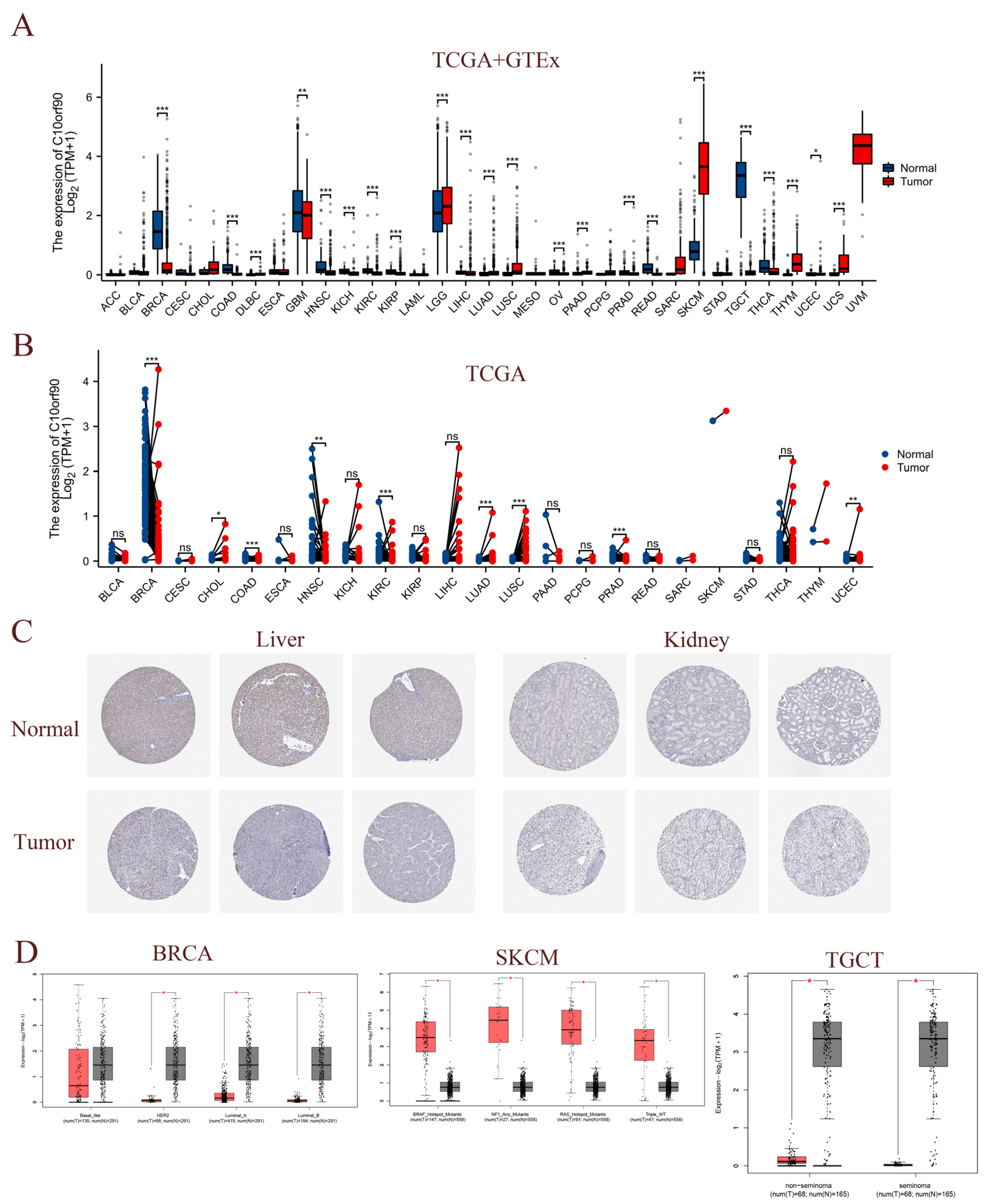 Ijms 25 10496 g003 Ijms 25 10496 g003