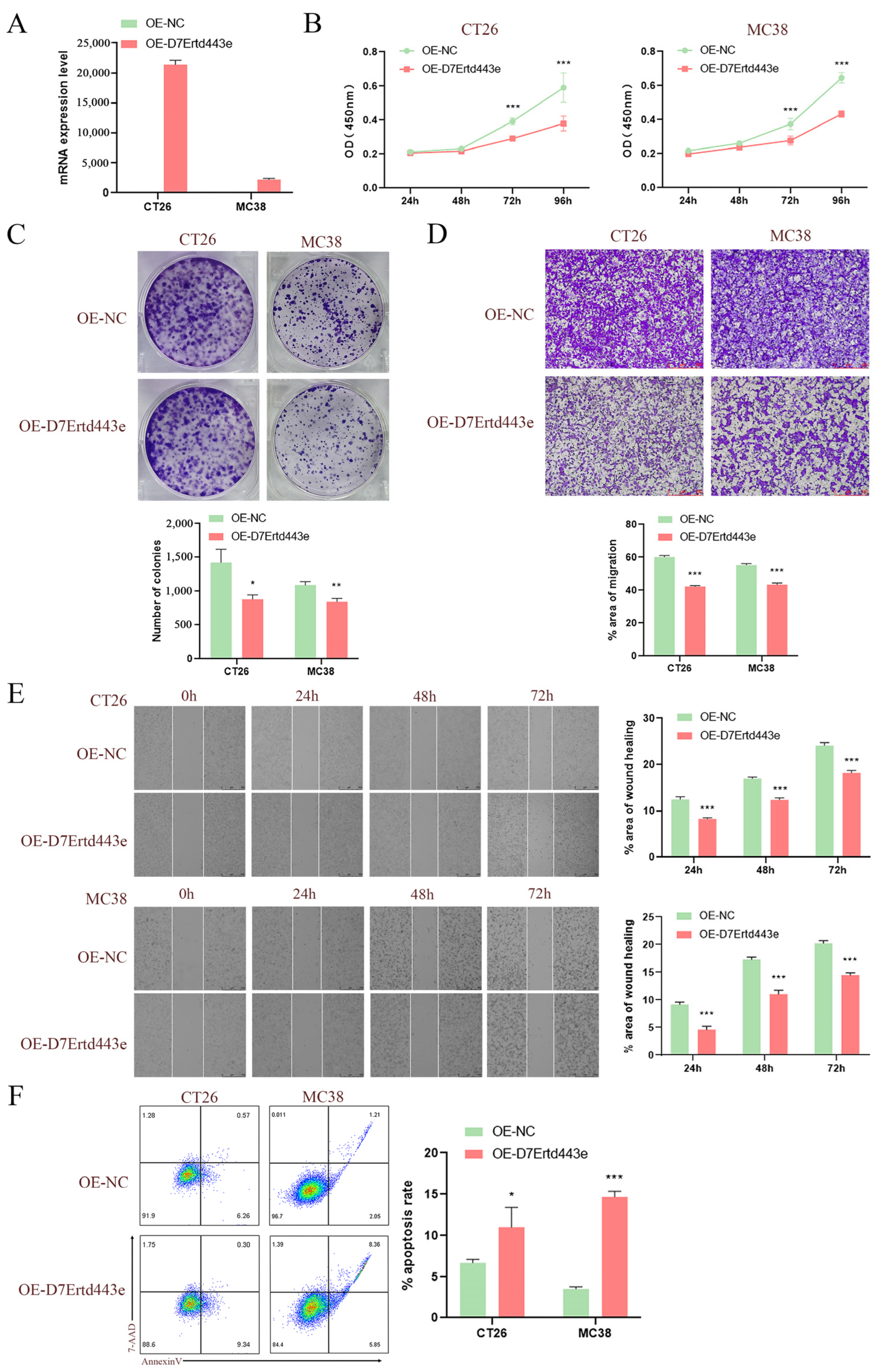 Ijms 25 10496 g011 Ijms 25 10496 g011