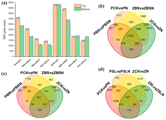 Interactions between Brassinosteroids and Strigolactones in