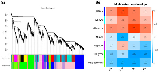 Interactions between Brassinosteroids and Strigolactones in