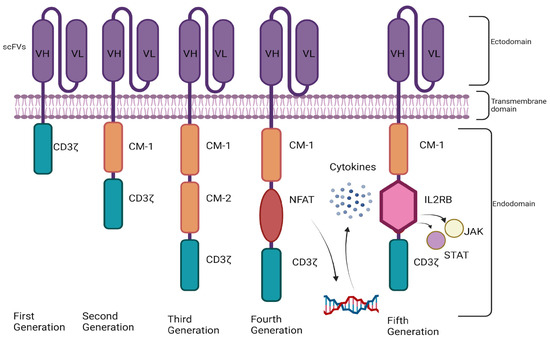 CAR-T-Cell Therapy for Systemic Lupus Erythematosus: A