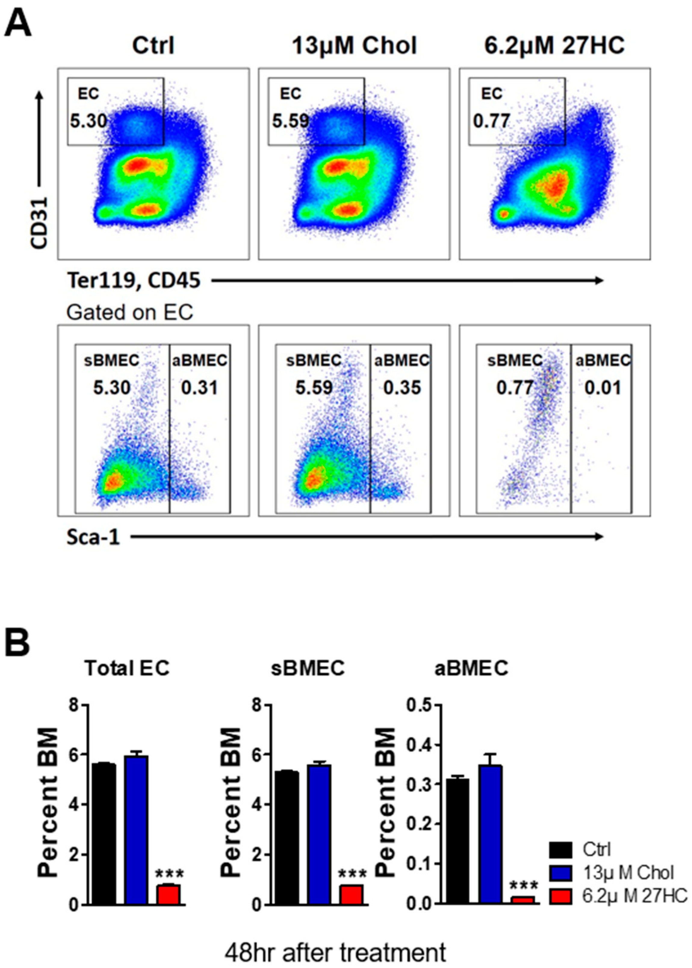 Ijms 25 10517 g001 Ijms 25 10517 g001