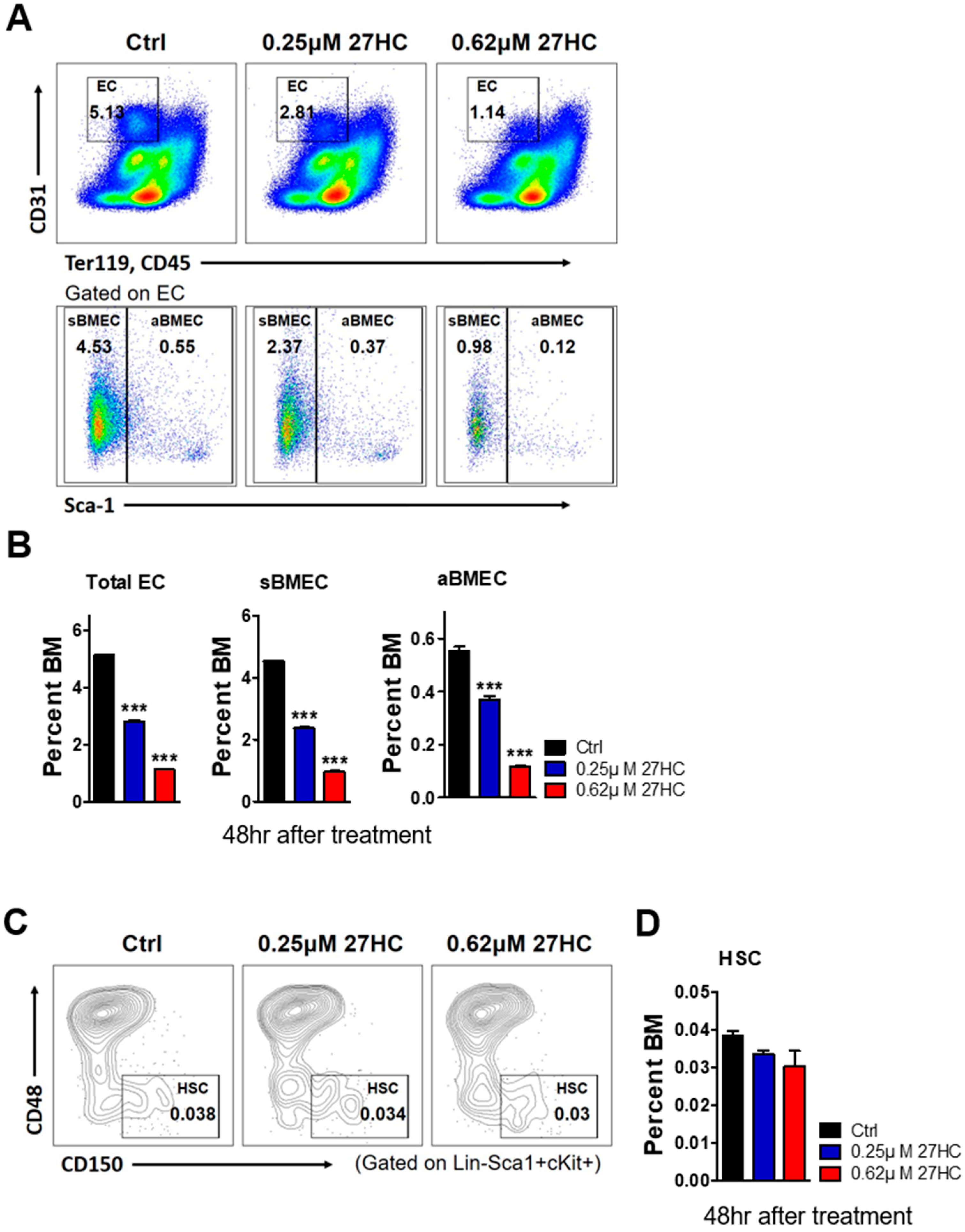 Ijms 25 10517 g002 Ijms 25 10517 g002