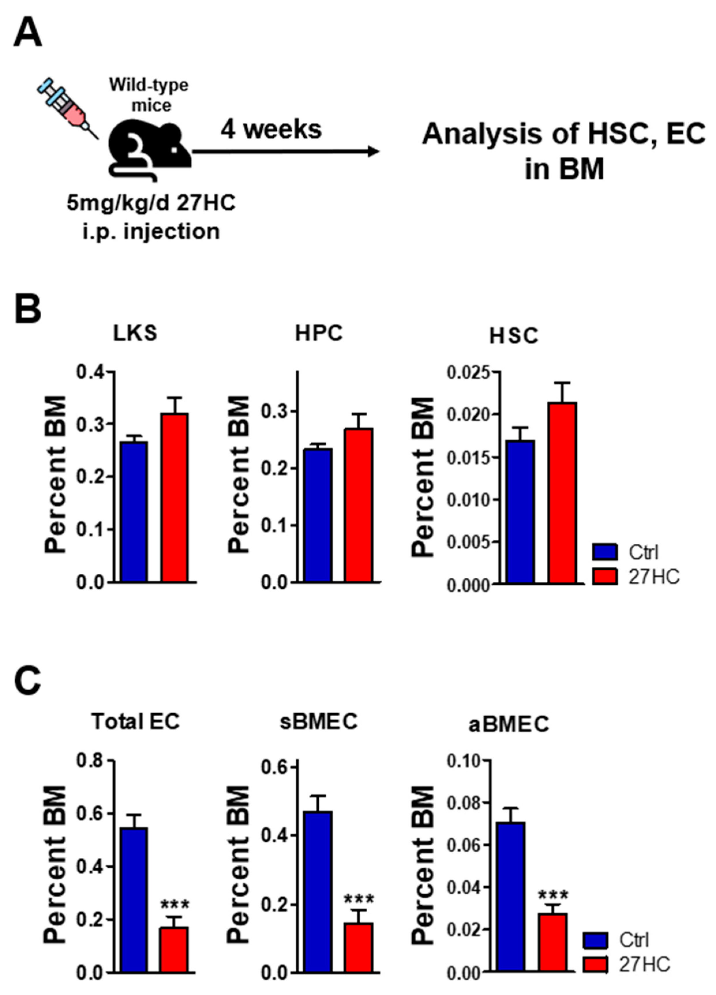 Ijms 25 10517 g003 Ijms 25 10517 g003