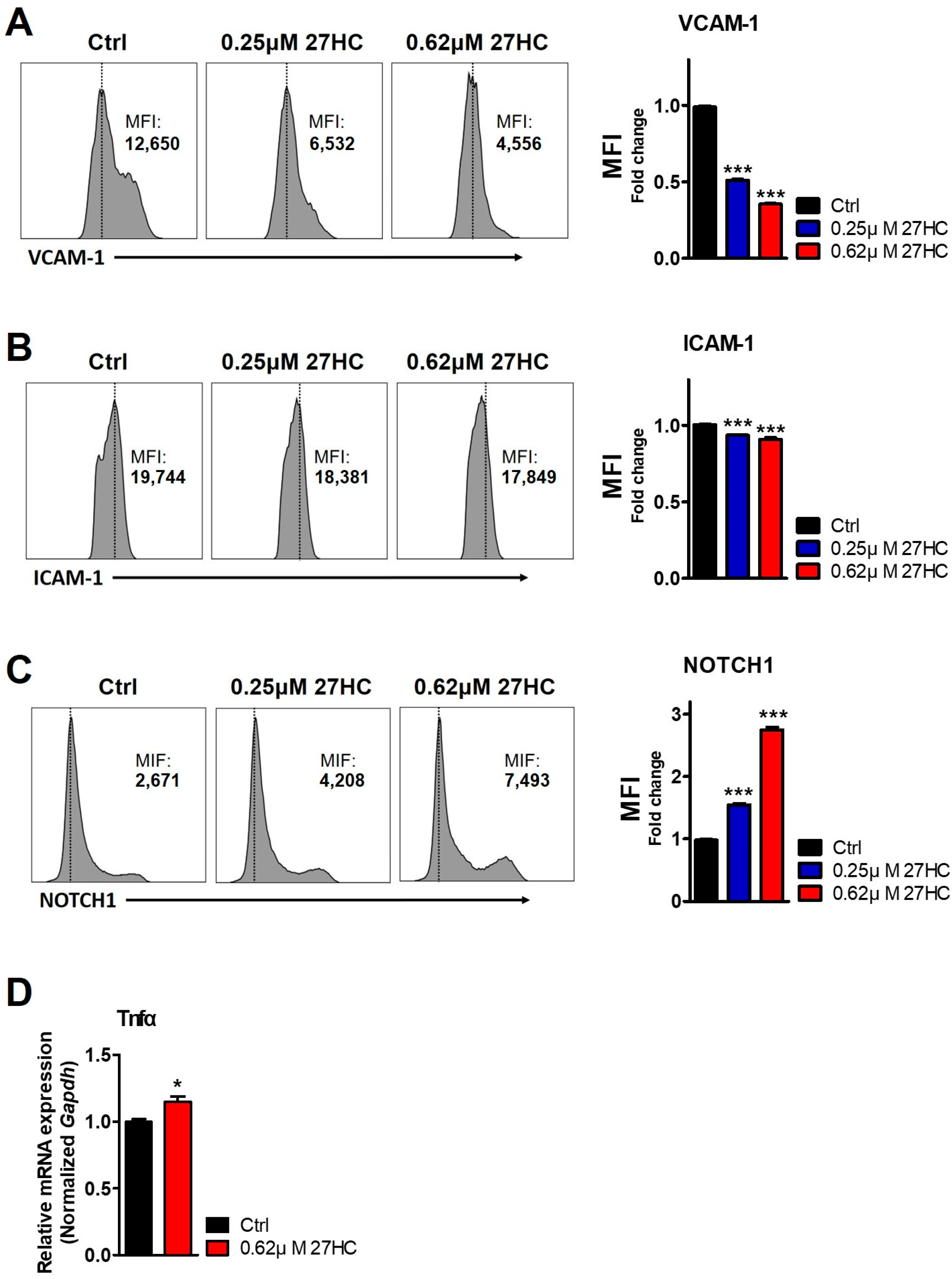 Ijms 25 10517 g006 Ijms 25 10517 g006