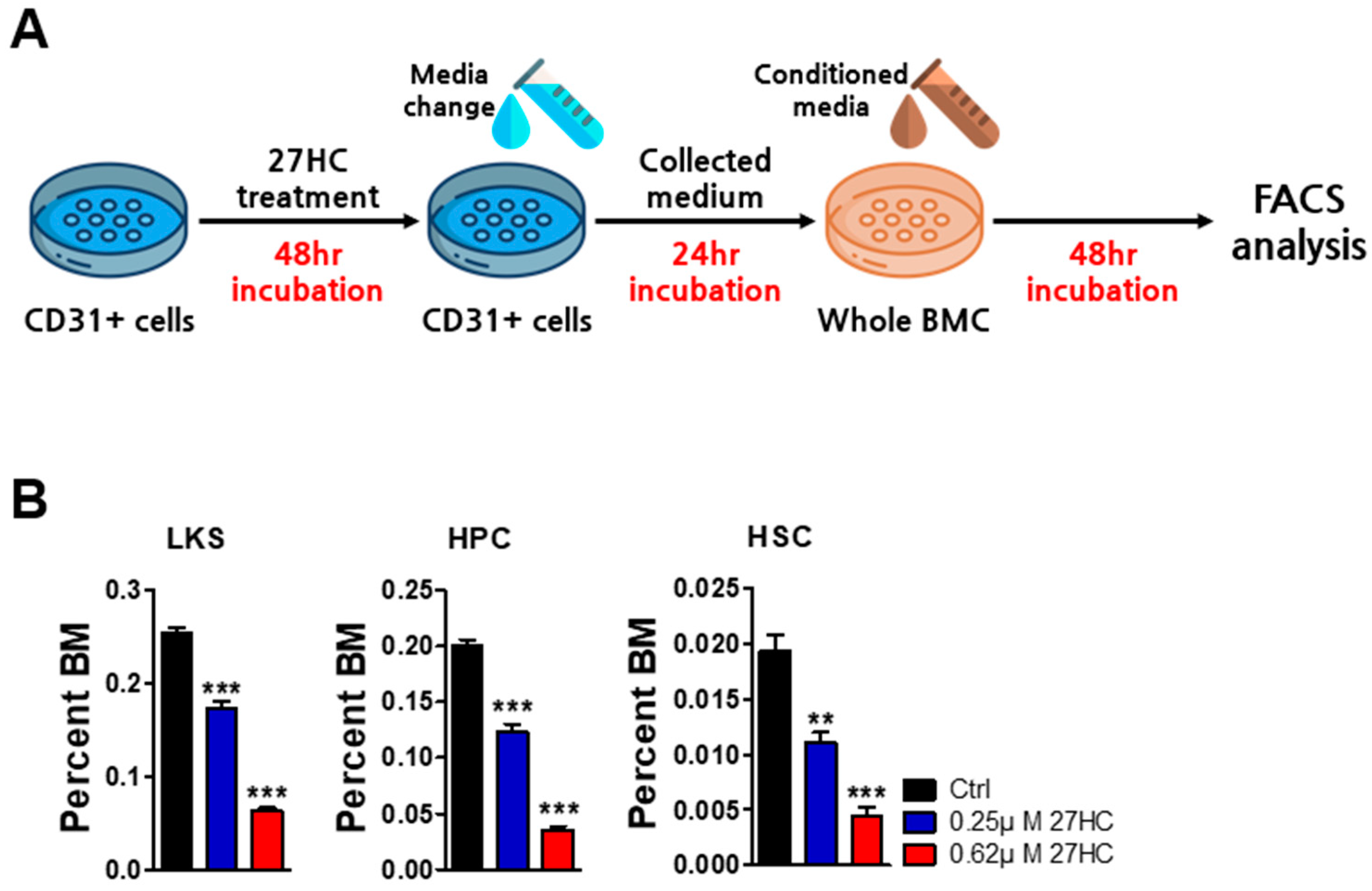 Ijms 25 10517 g007 Ijms 25 10517 g007
