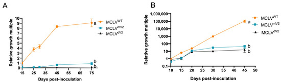 V2 Protein Enhances the Replication of Genomic DNA of V2 Protein Enhances the Replication of Genomic DNA of