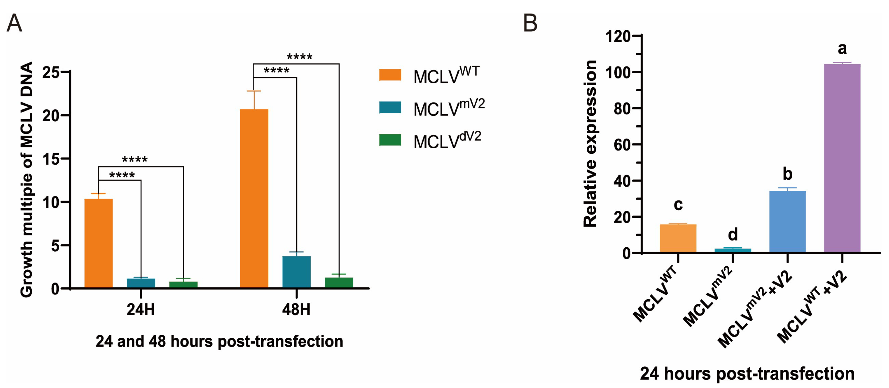 V2 Protein Enhances the Replication of Genomic DNA of V2 Protein Enhances the Replication of Genomic DNA of