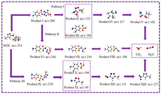 Peroxymonosulfate Activation by Fe@N Co-Doped Biochar for the ...