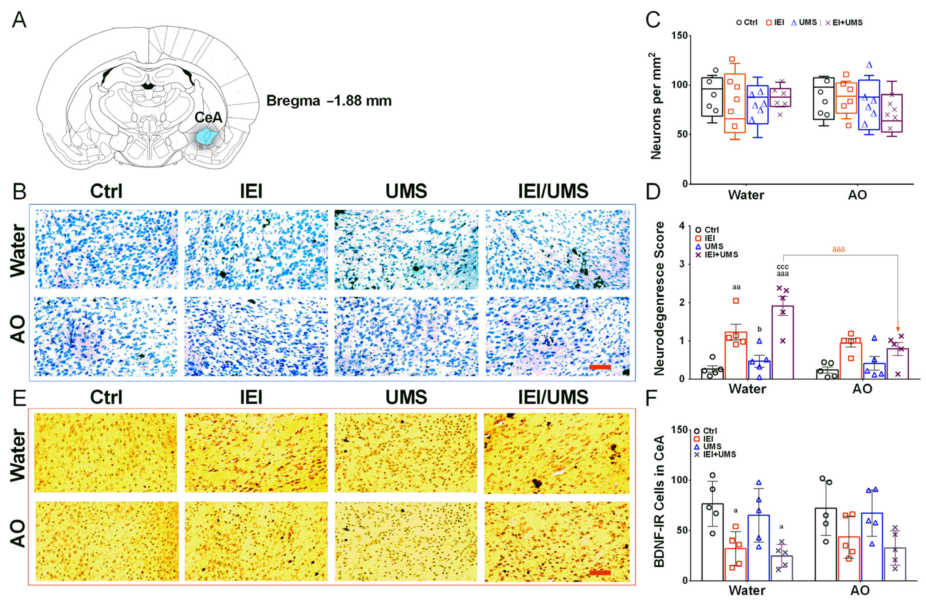 Ijms 25 10529 g003 Ijms 25 10529 g003