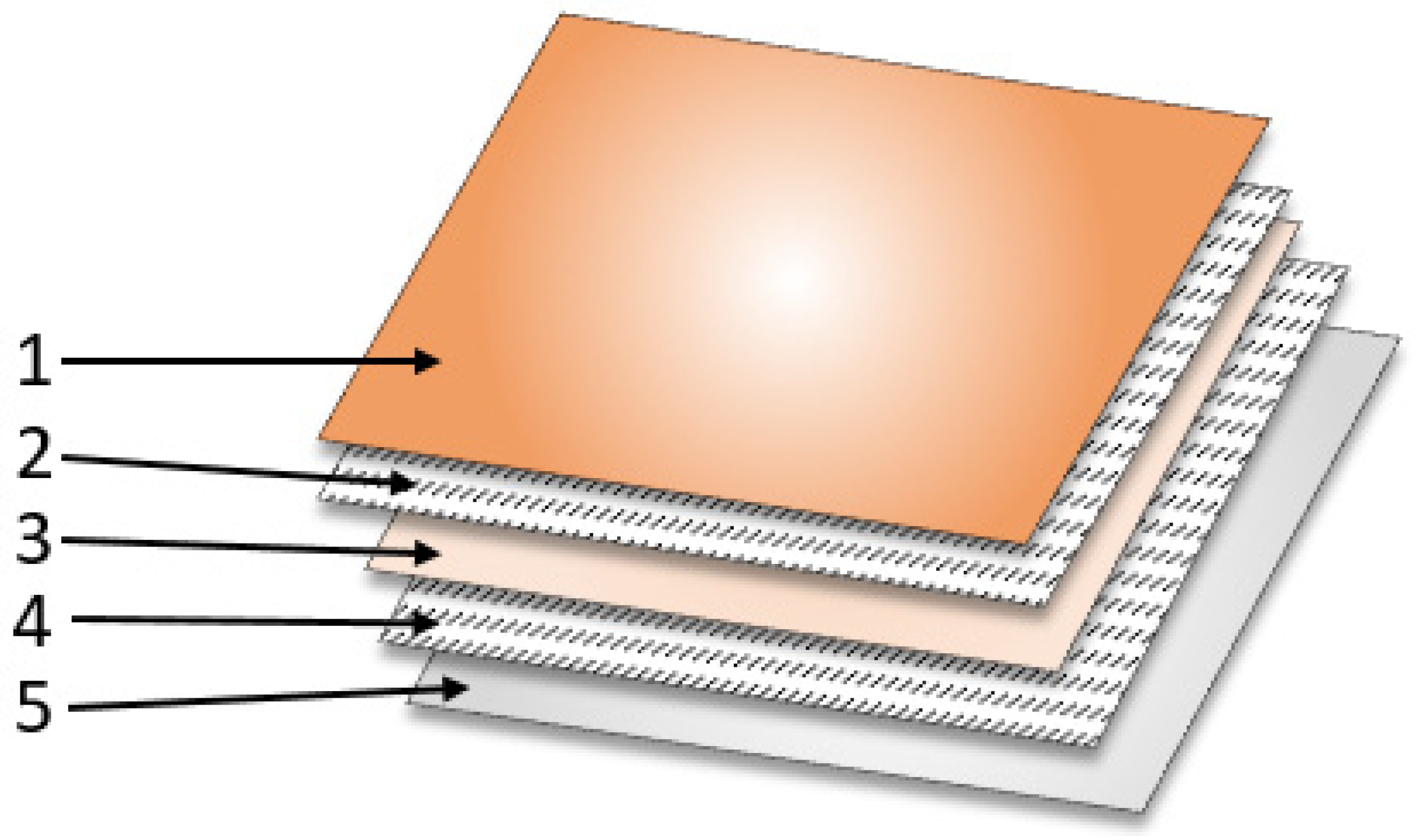 Ijms 25 10565 g018 Ijms 25 10565 g018