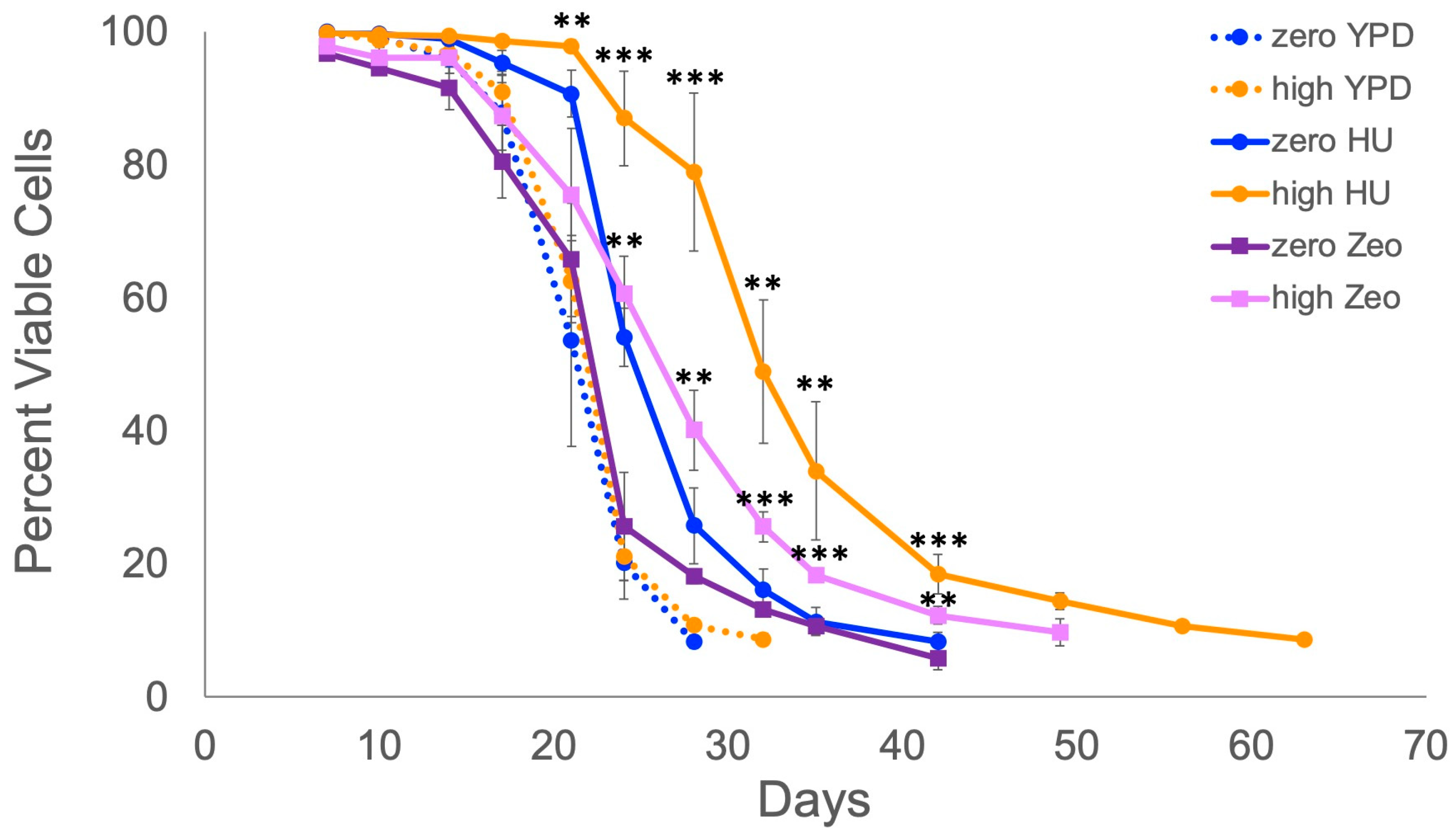 Ijms 25 10593 g001 Ijms 25 10593 g001