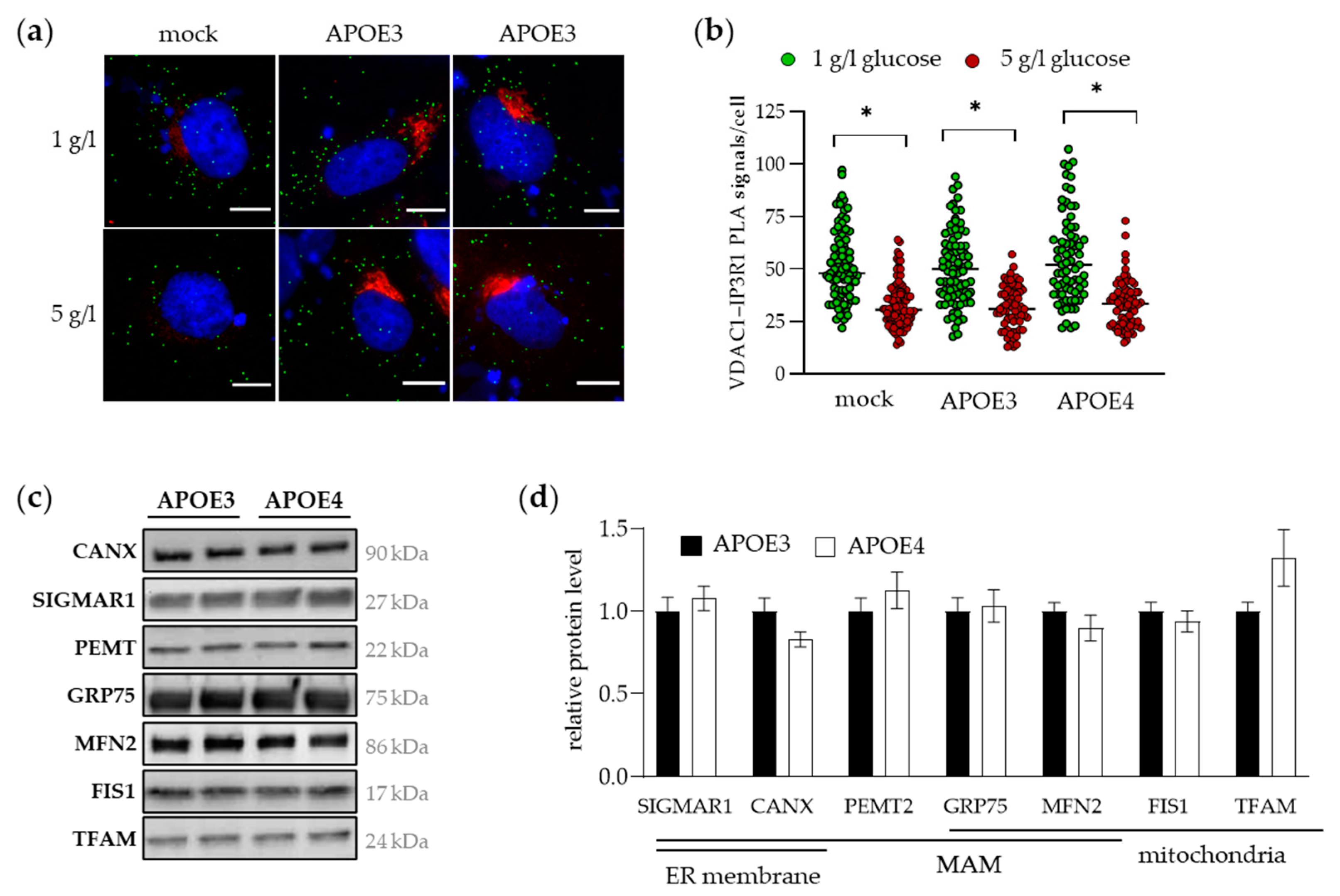 Ijms 25 10597 g002 Ijms 25 10597 g002