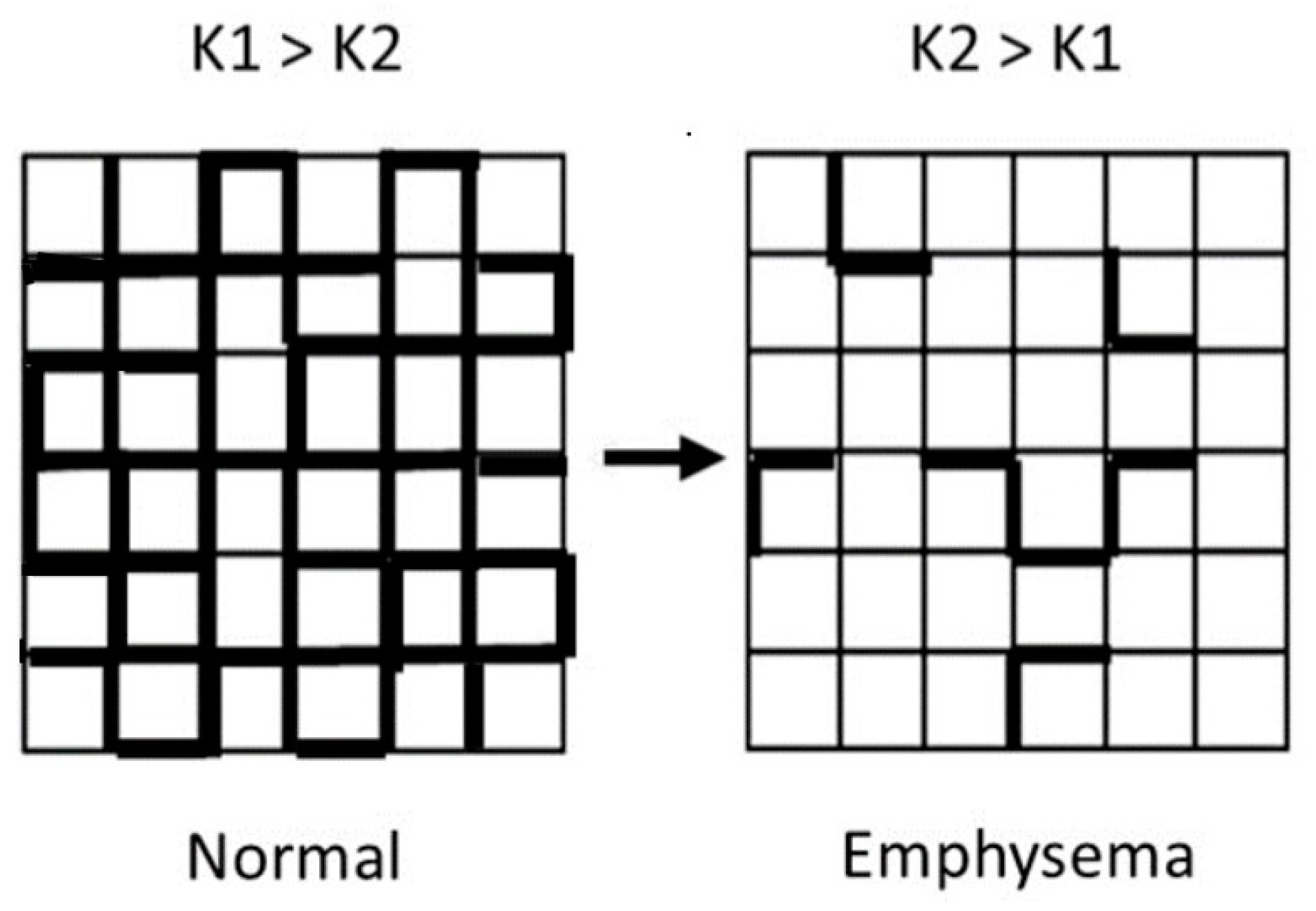 Ijms 25 10613 g005 Ijms 25 10613 g005