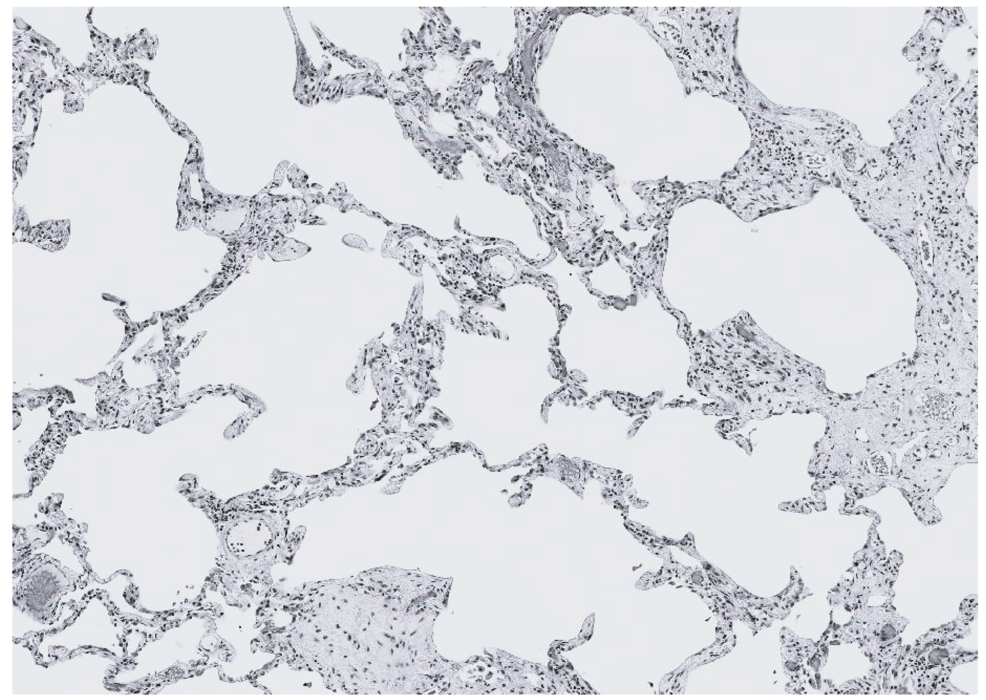 Ijms 25 10613 g006 Ijms 25 10613 g006