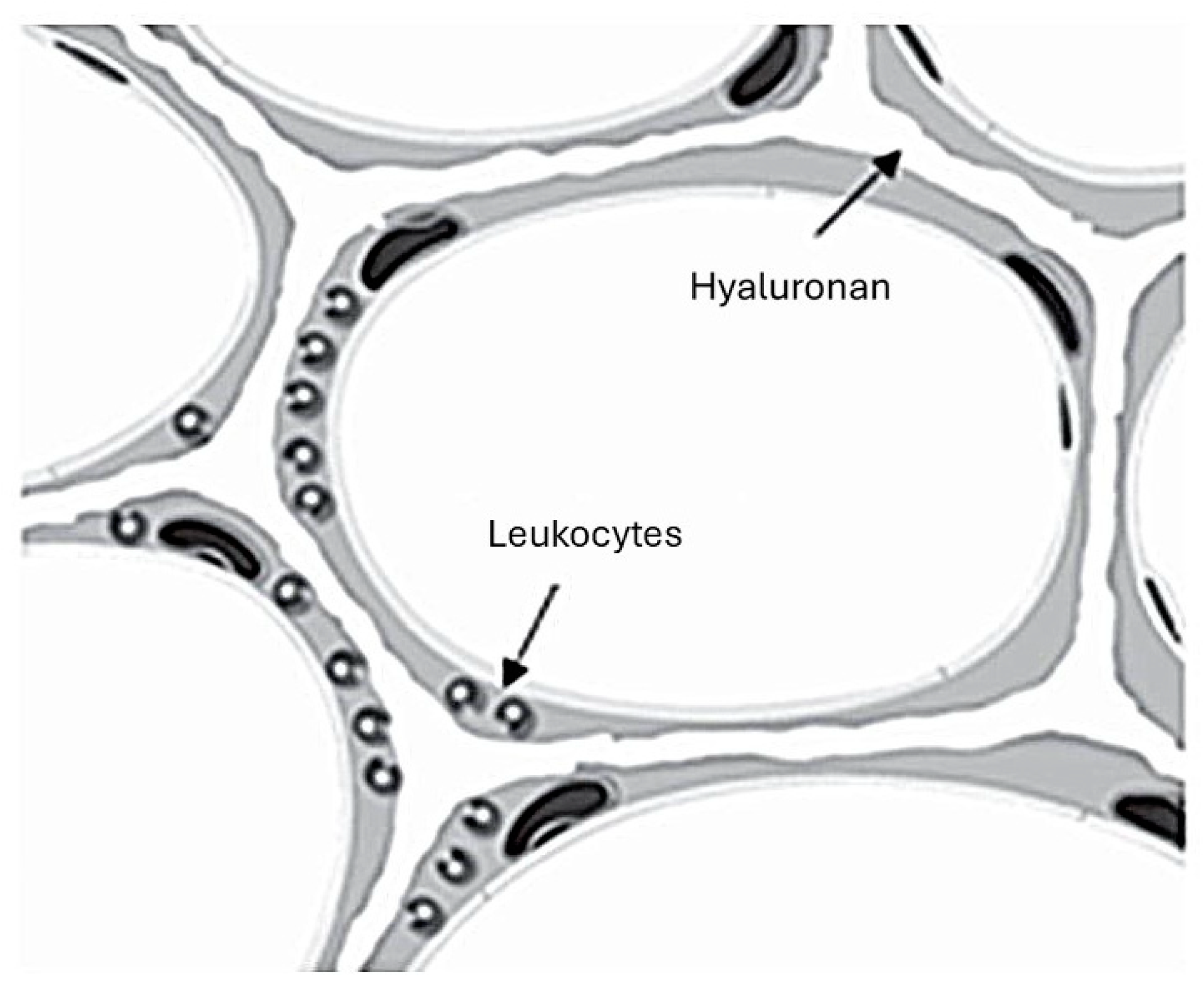 Ijms 25 10613 g007 Ijms 25 10613 g007