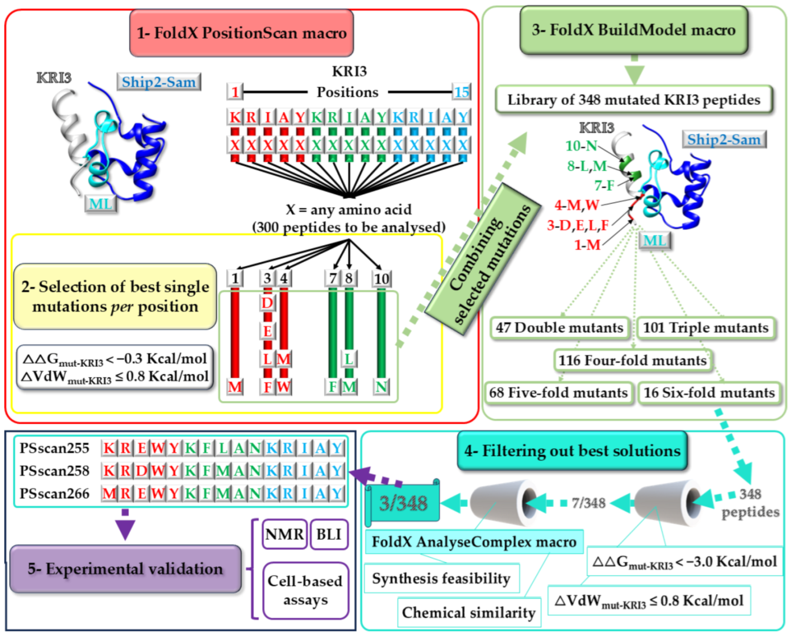Ijms 25 10616 g002 Ijms 25 10616 g002