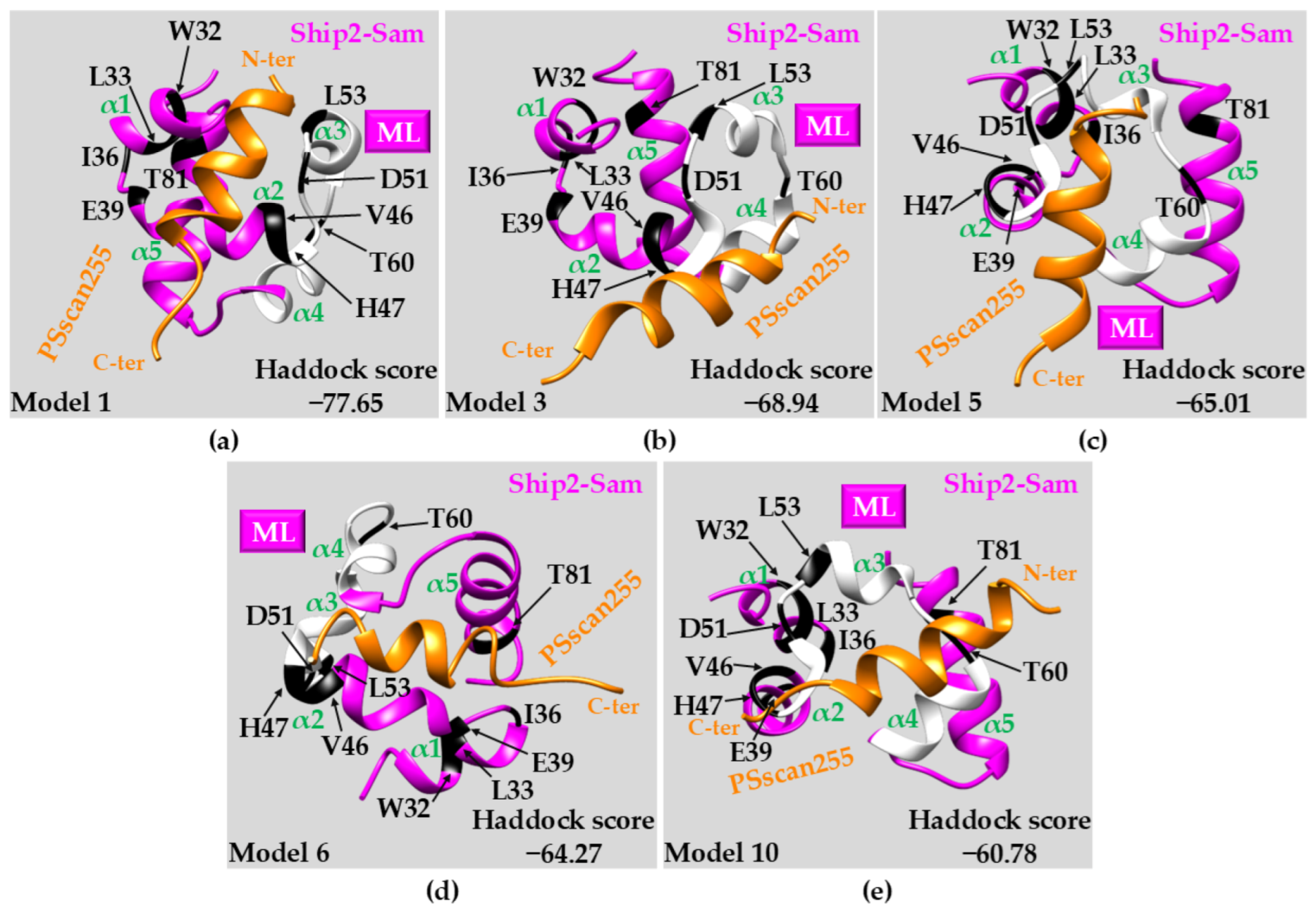 Ijms 25 10616 g006 Ijms 25 10616 g006