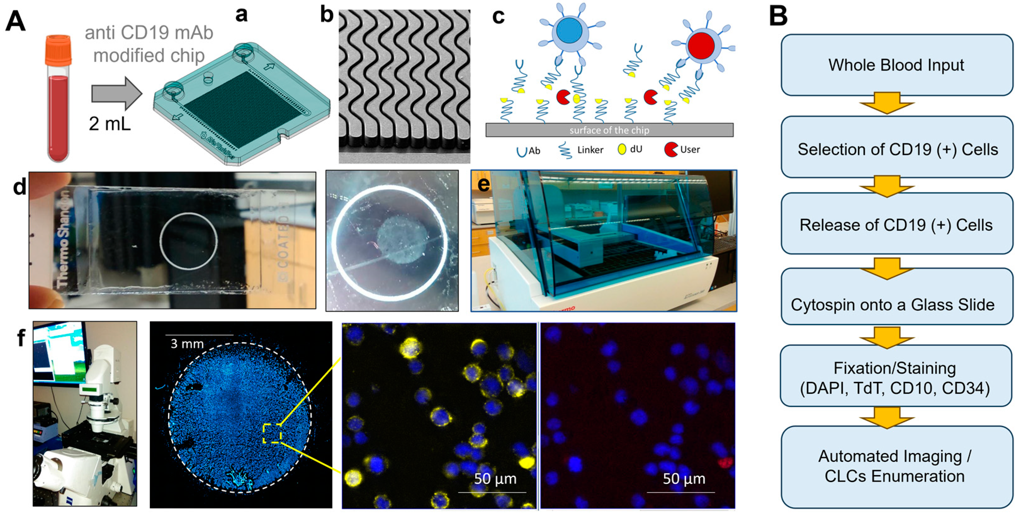 Ijms 25 10619 g001 Ijms 25 10619 g001