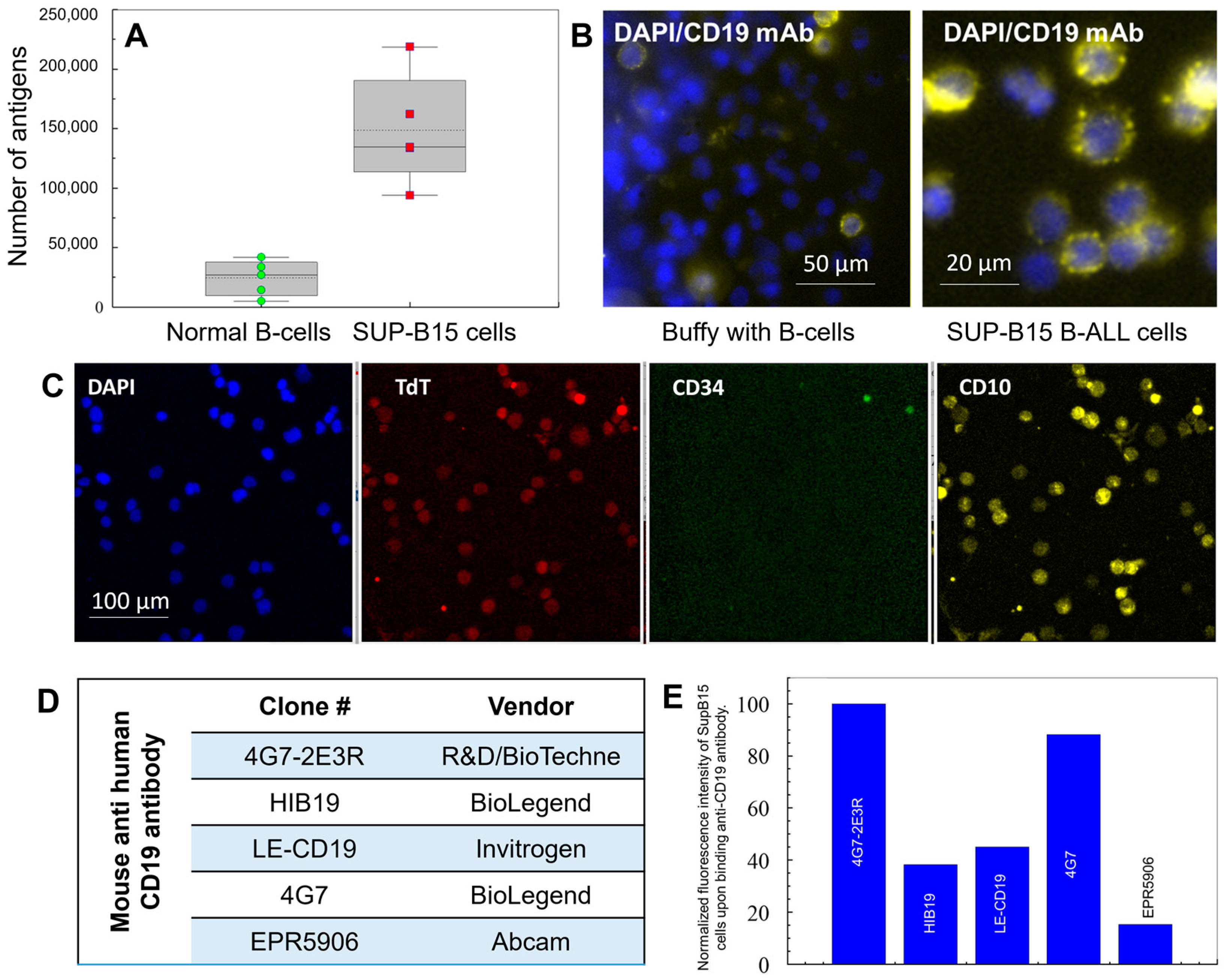Ijms 25 10619 g002 Ijms 25 10619 g002
