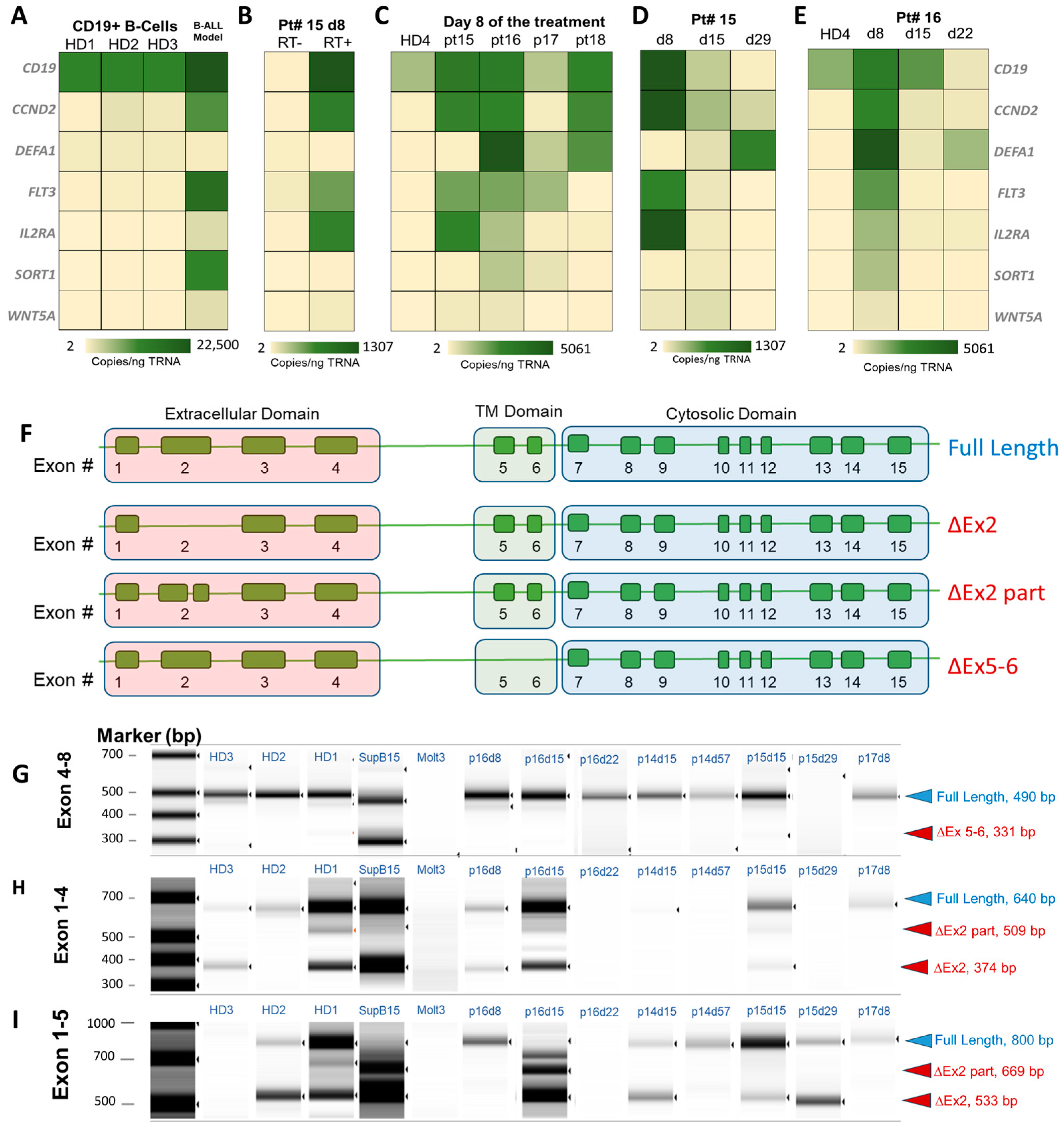 Ijms 25 10619 g005 Ijms 25 10619 g005