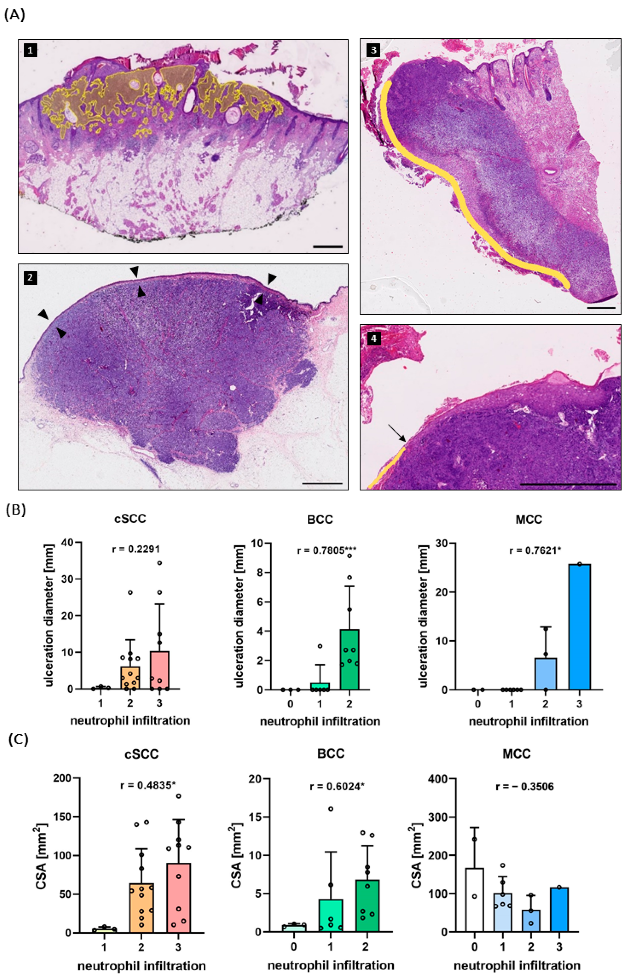 Ijms 25 10620 g002 Ijms 25 10620 g002