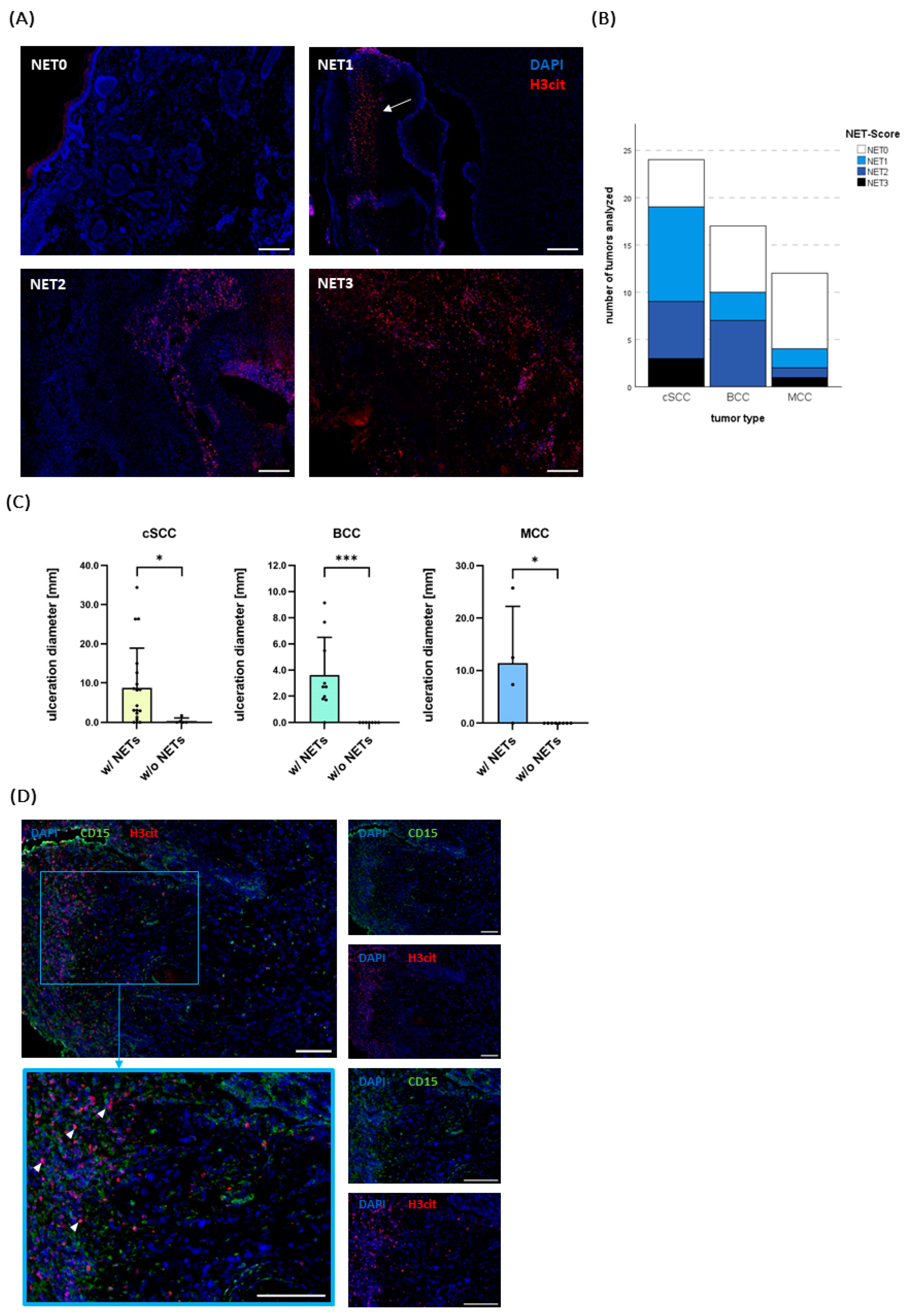Ijms 25 10620 g003 Ijms 25 10620 g003