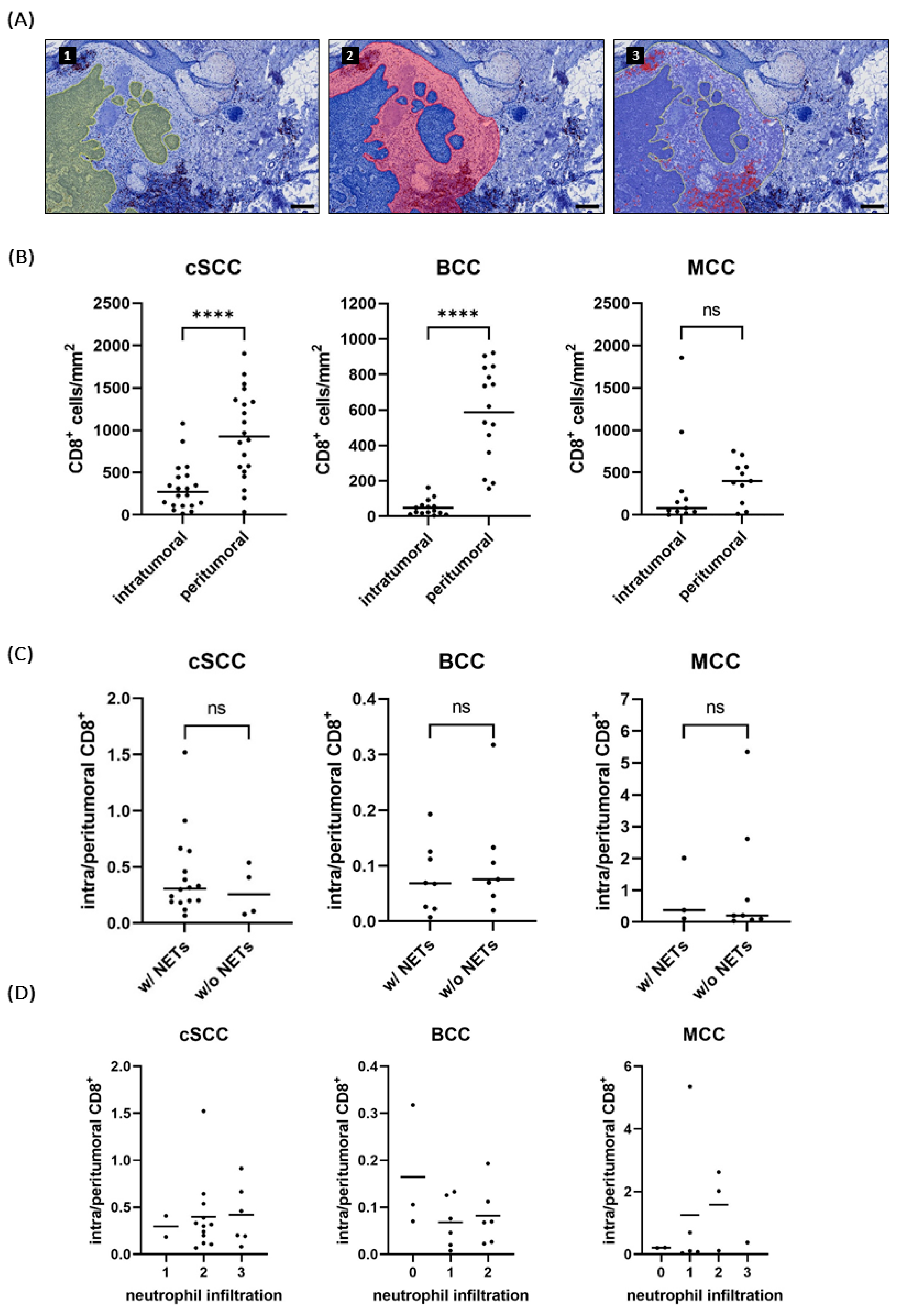 Ijms 25 10620 g005 Ijms 25 10620 g005