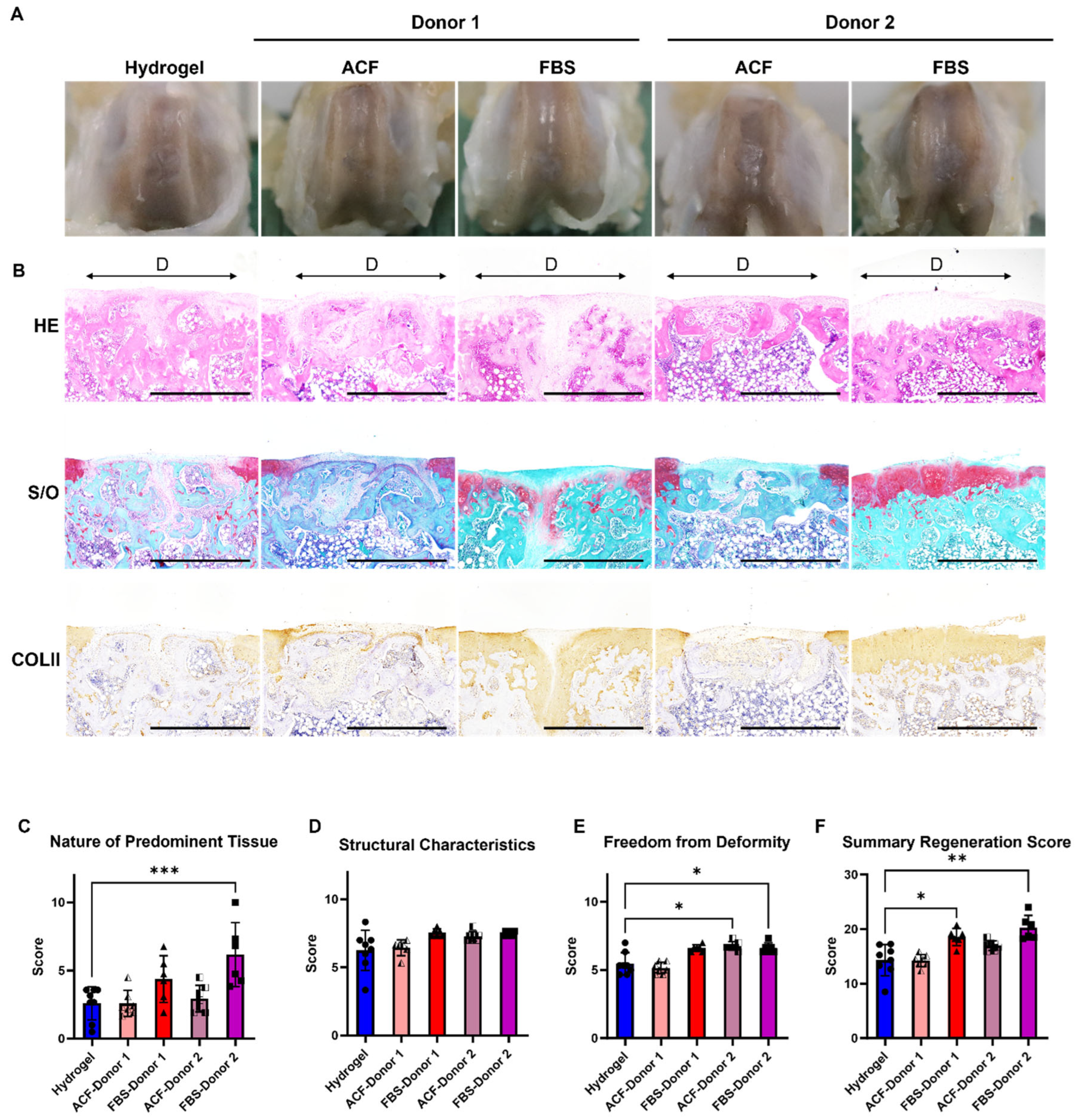 Ijms 25 10627 g001 Ijms 25 10627 g001