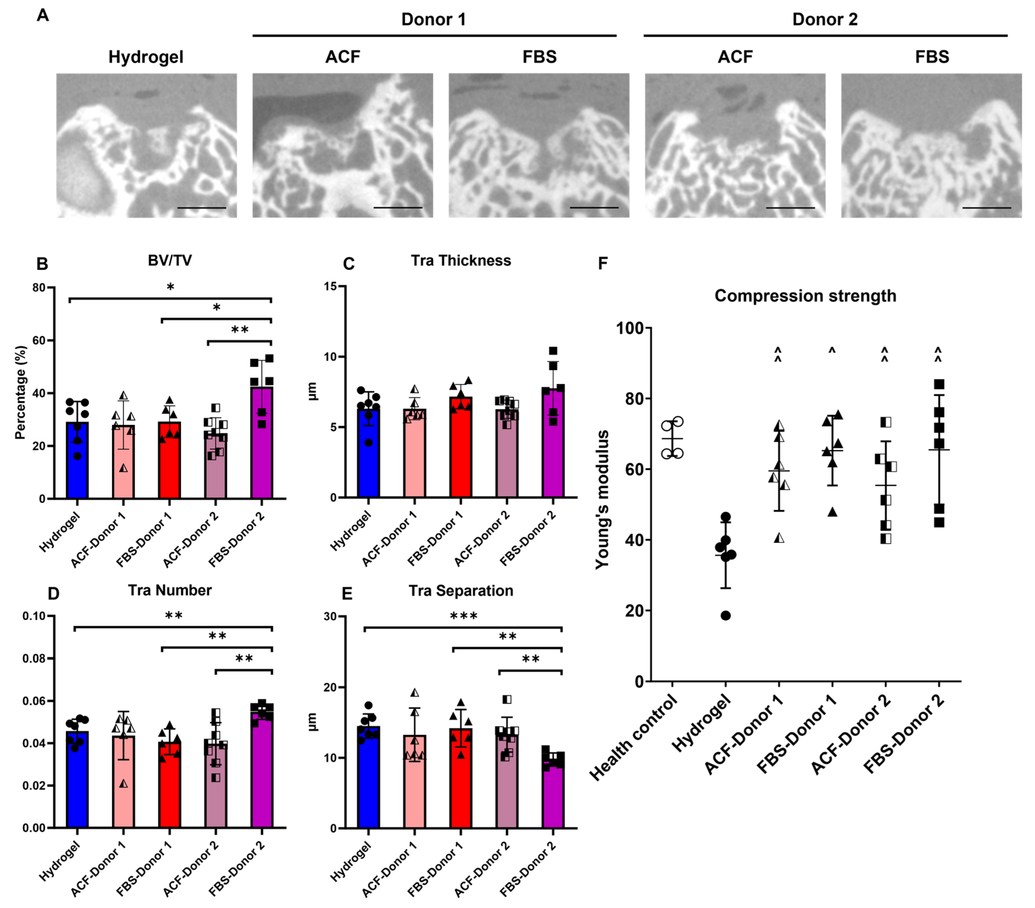 Ijms 25 10627 g002 Ijms 25 10627 g002