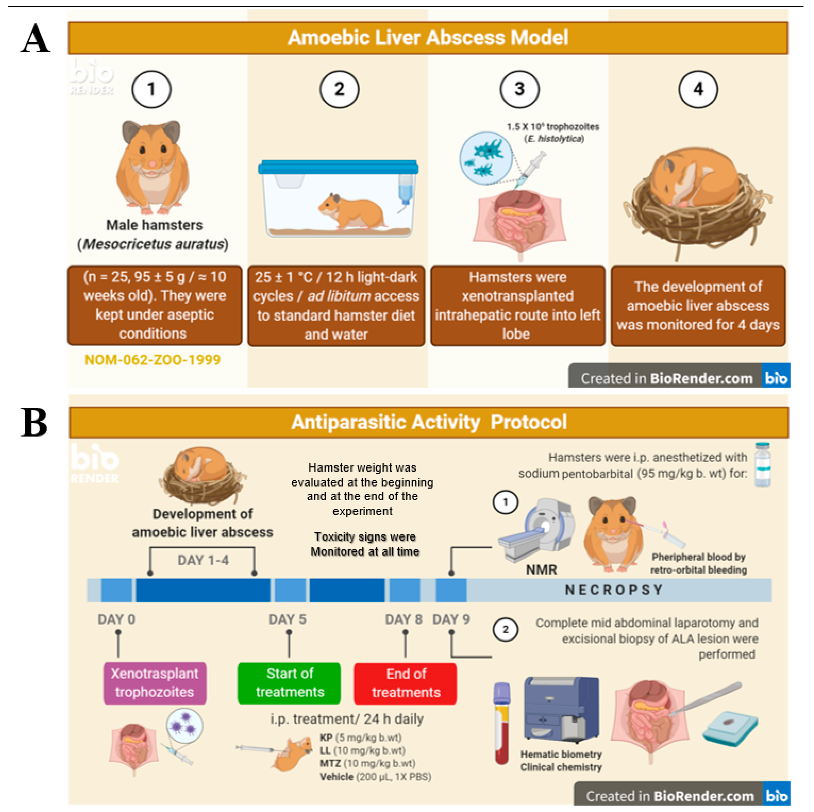 Ijms 25 10633 g005 Ijms 25 10633 g005
