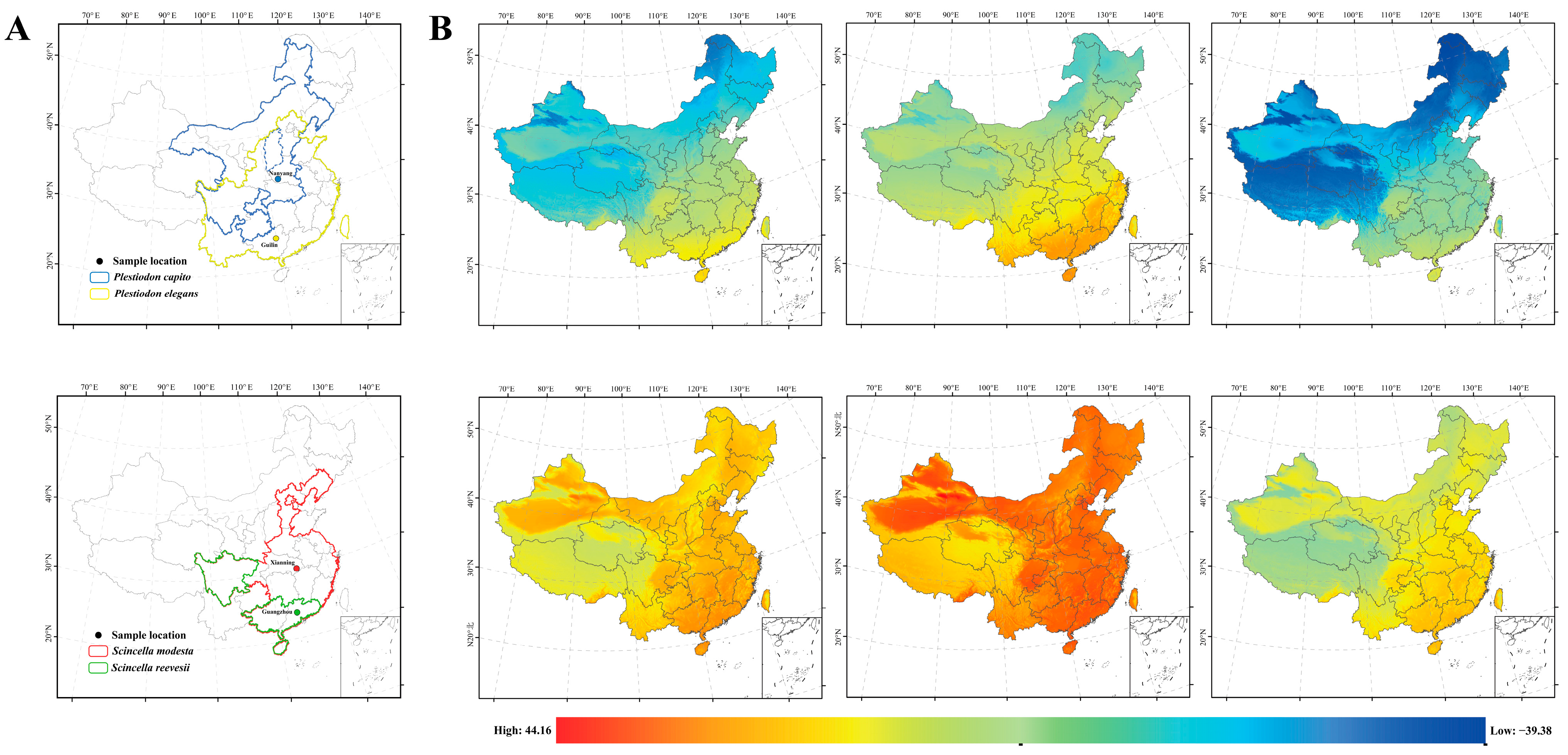Ijms 25 10637 g001 Ijms 25 10637 g001