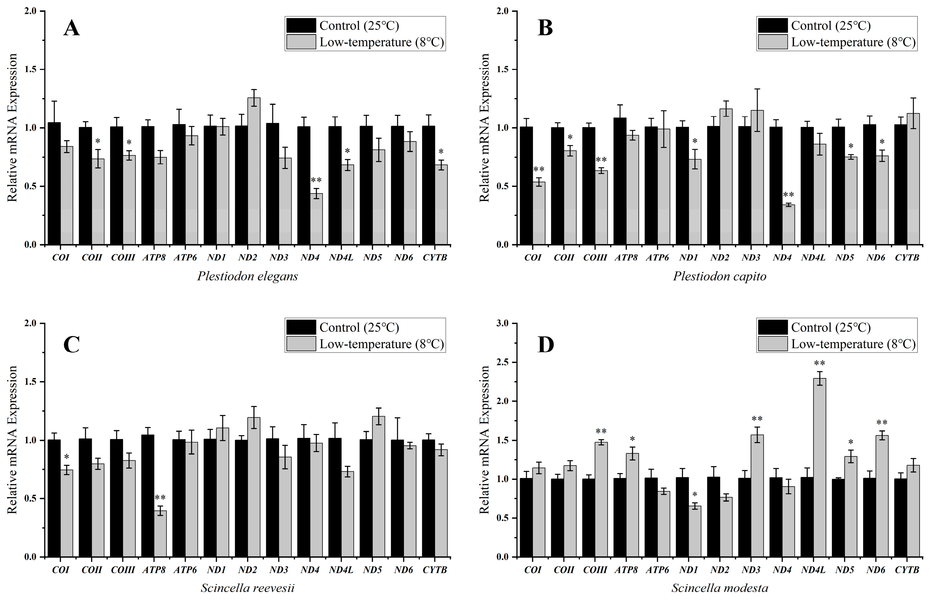 Ijms 25 10637 g002 Ijms 25 10637 g002
