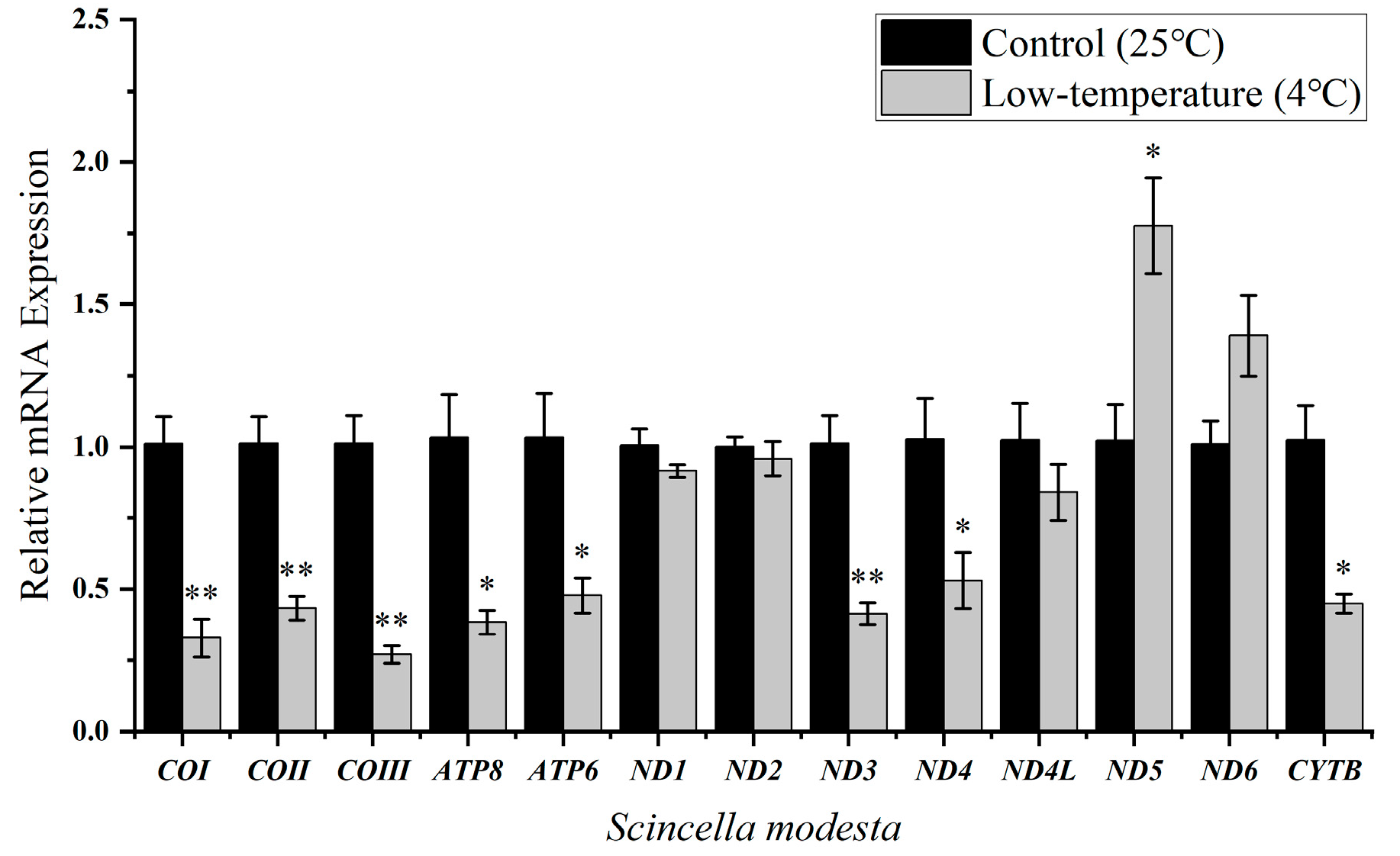Ijms 25 10637 g003 Ijms 25 10637 g003