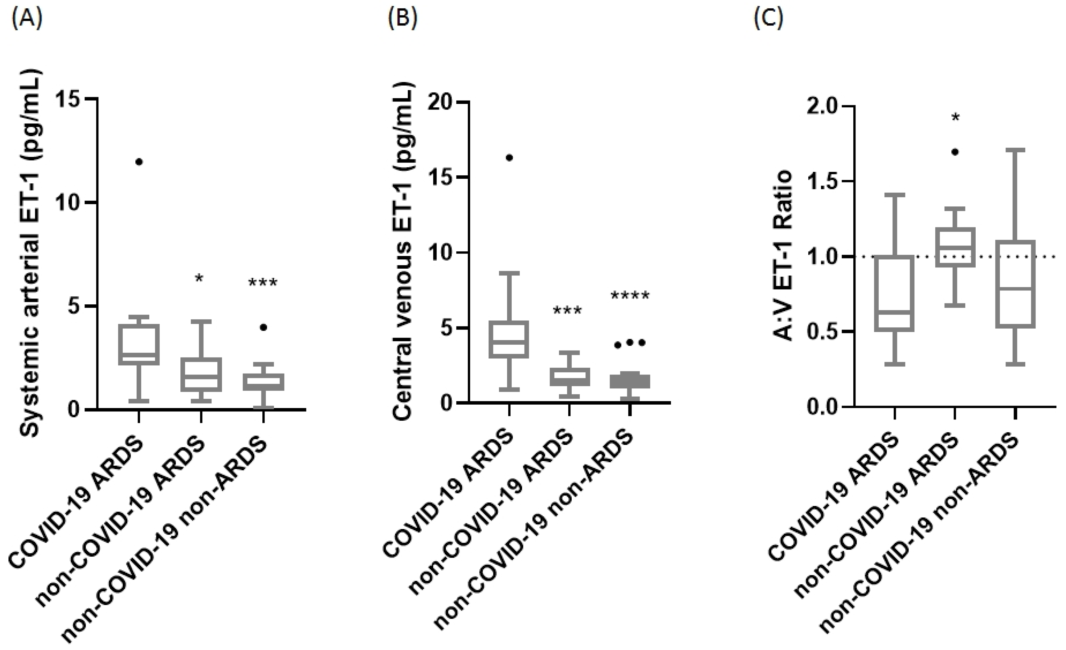 Ijms 25 10640 g001 Ijms 25 10640 g001