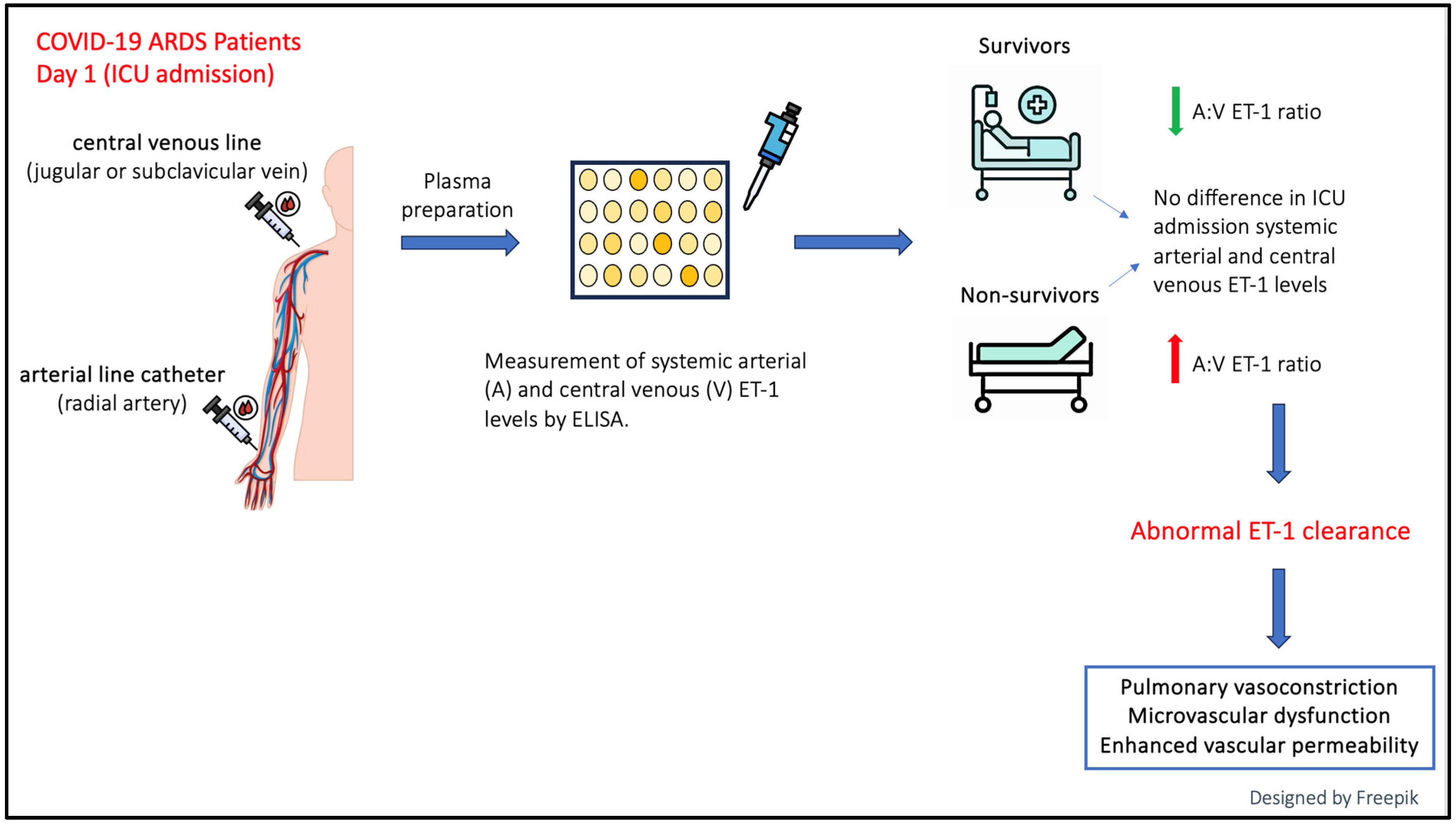 Ijms 25 10640 g005 Ijms 25 10640 g005